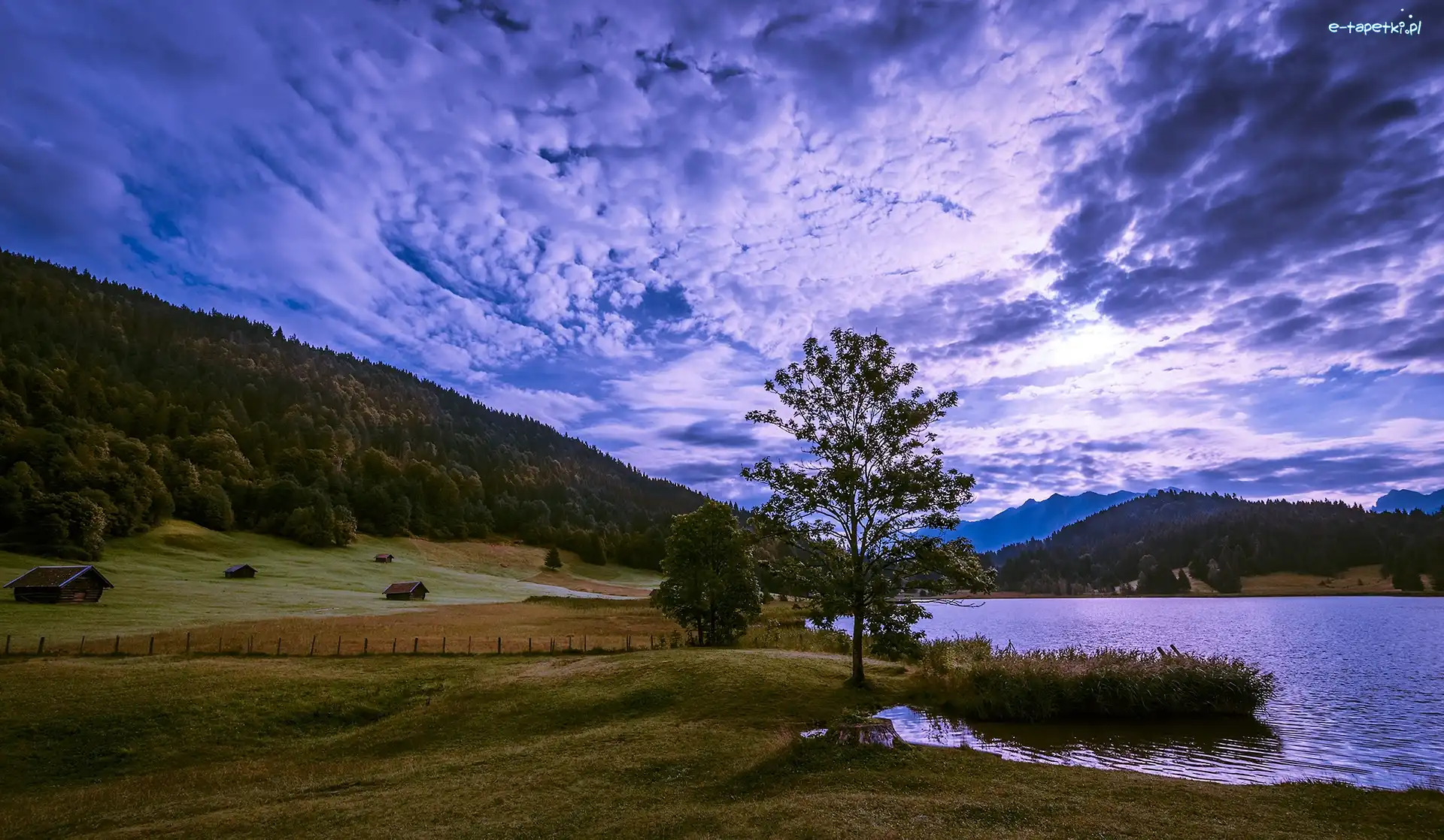 Drzewo, Jezioro Geroldsee, Chmury, Góry Alpy, Niemcy, Wzgórze, Domki, Bawaria, Drewniane, Wagenbruchsee, Niebo