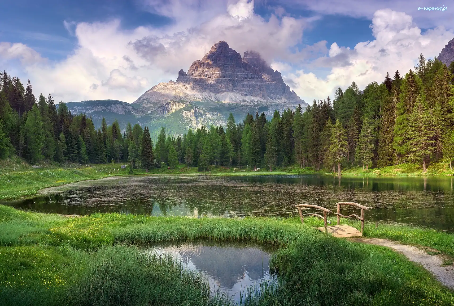 Las, Góry Dolomity, Włochy, Prowincja Belluno, Masyw Tre Cime di Lavaredo, Drzewa, Mostek, Jezioro Antorno Lake