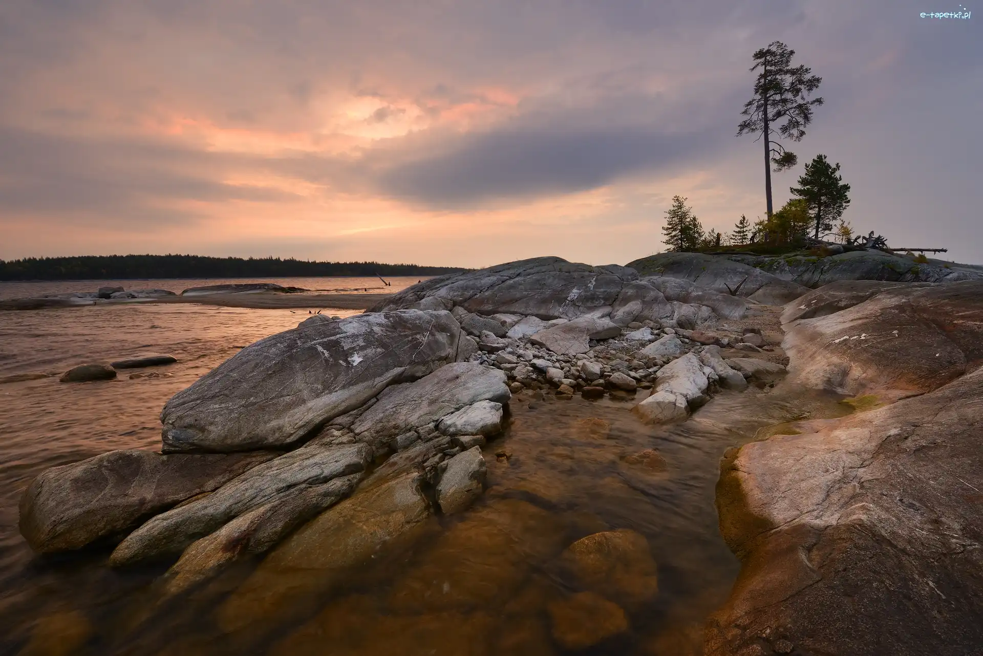 Rosja, Jezioro Siegoziero, Karelia, Drzewa, Skały