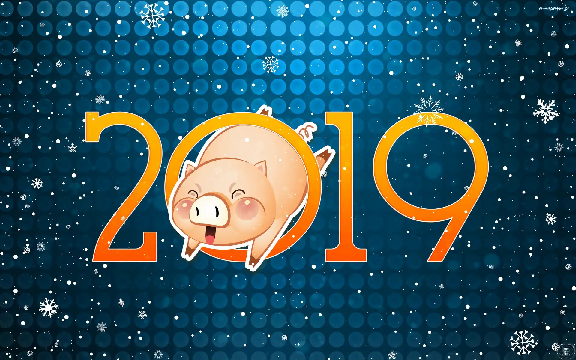Świnka, 2019, Nowy Rok