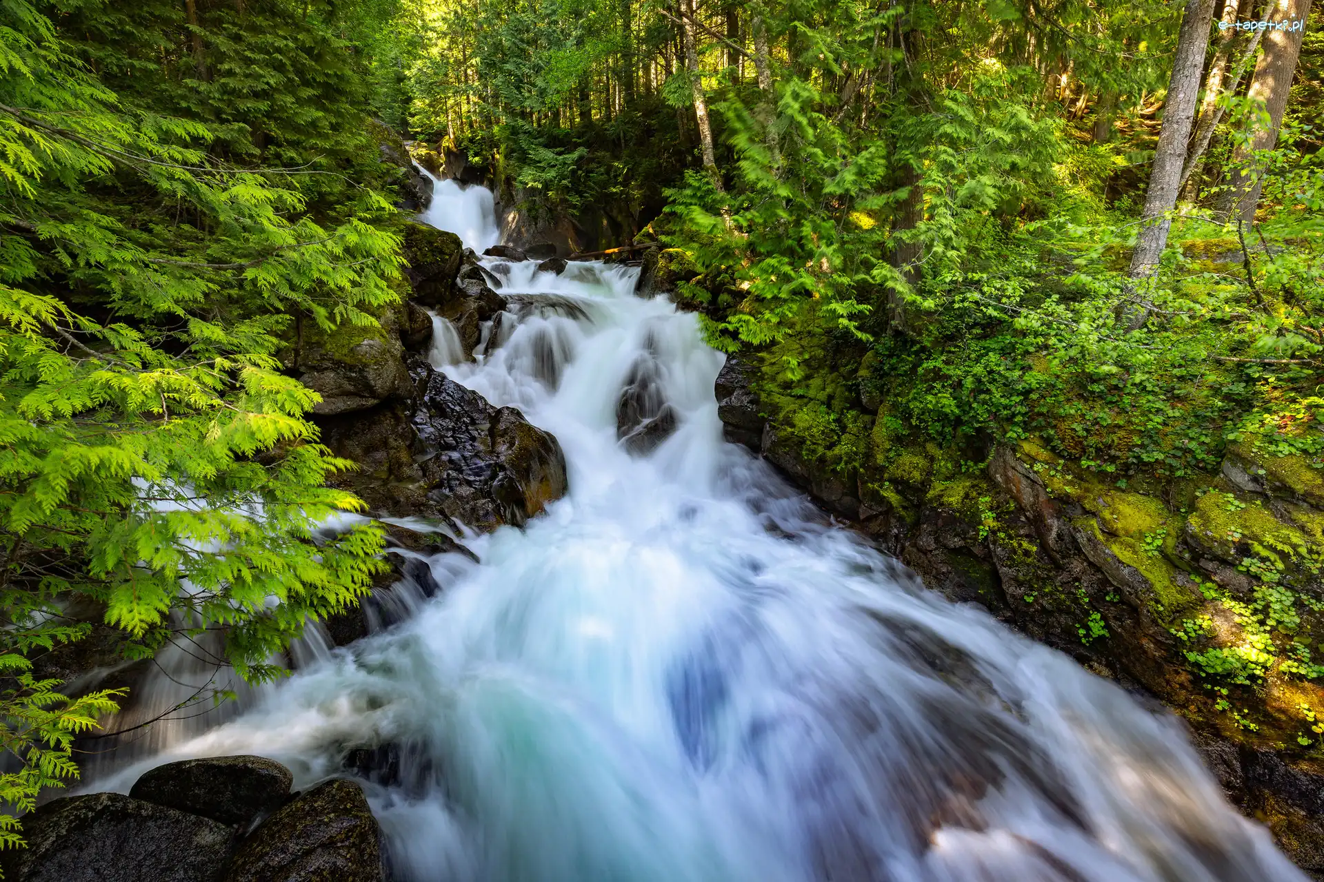 Stany Zjednoczone, Las, Drzewa, Skały, Wodospad Deception Falls, Stan Waszyngton, Miejscowość Skykomish