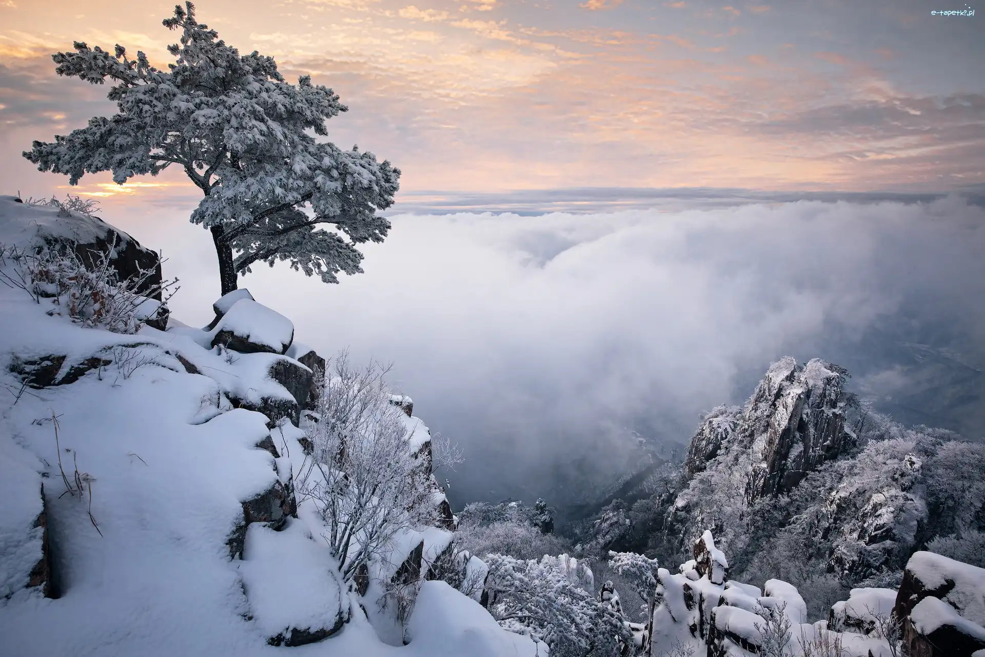 Chmury, Góry, Korea Południowa, Jeolla Północna, Mgła, Drzewo, Park prowincjonalny Daedunsan, Zima