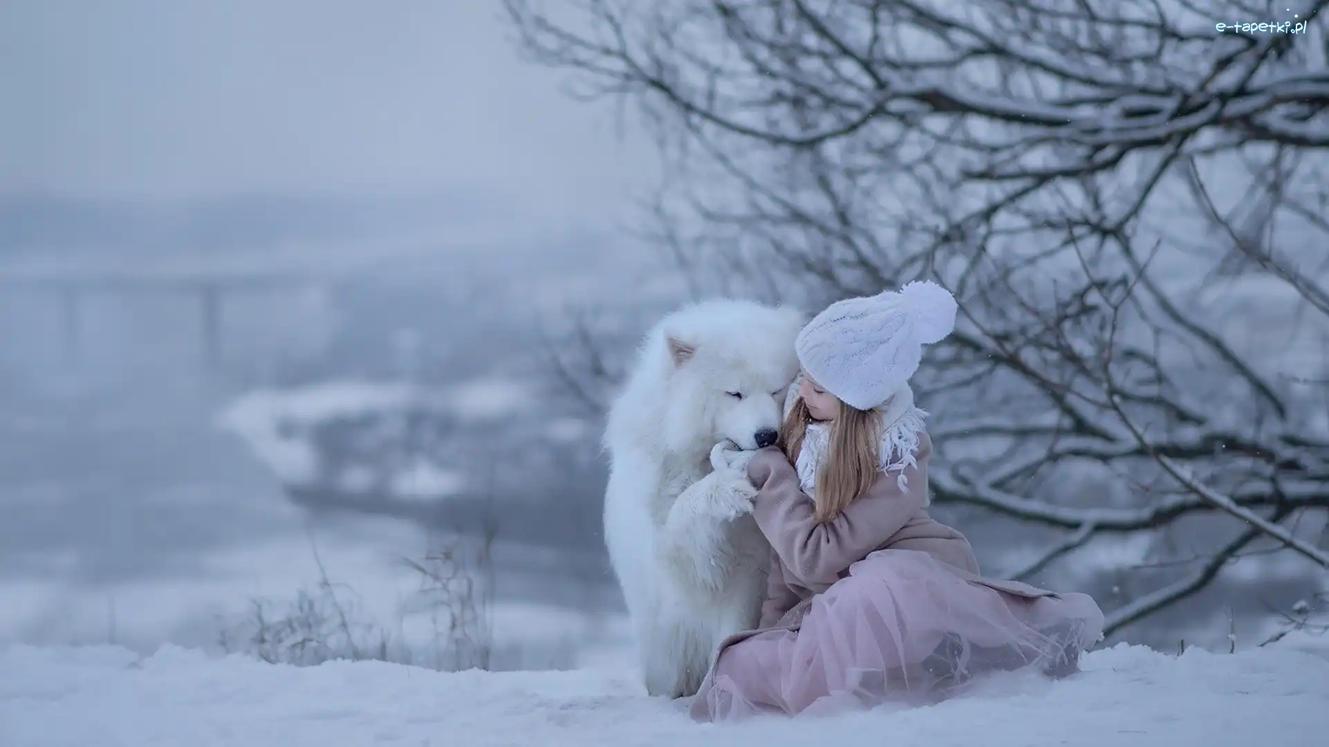 Pies, Zima, Śnieg, Samojed, Czapka, Dziewczynka