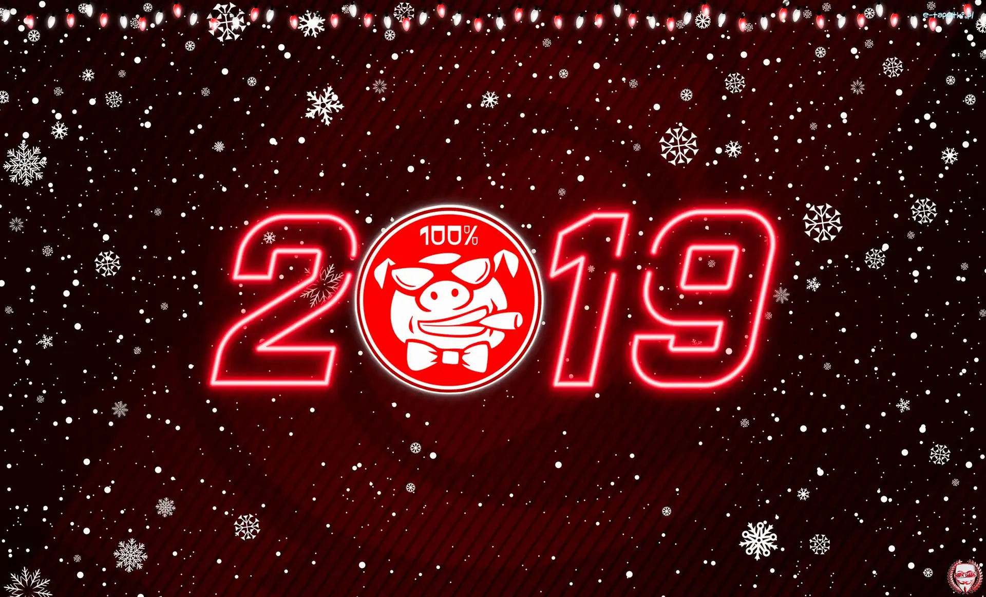 2019, Świni, Rok, Nowy Rok