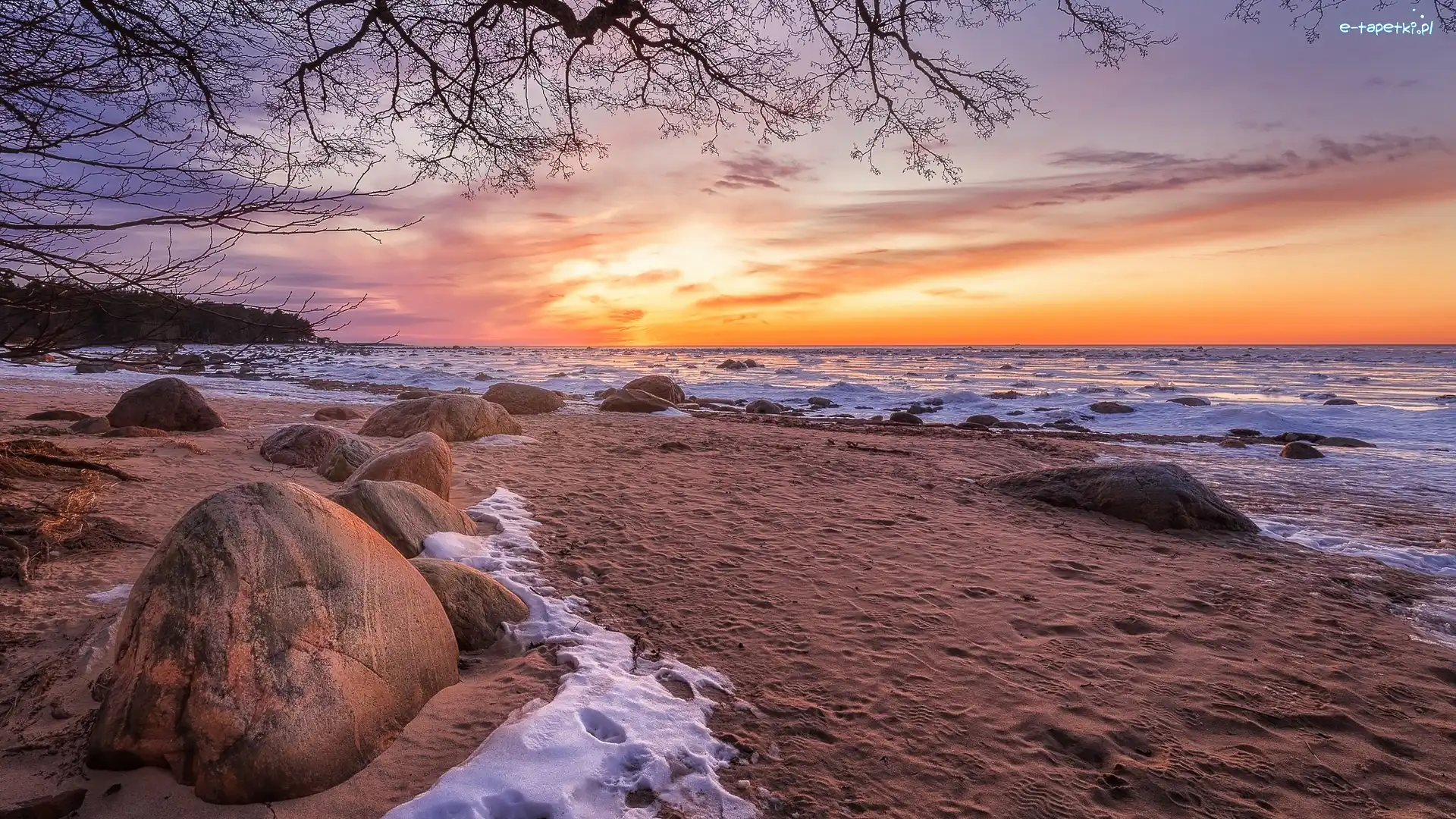 Morze, Wschód słońca, Plaża, Kamienie, Gałęzie