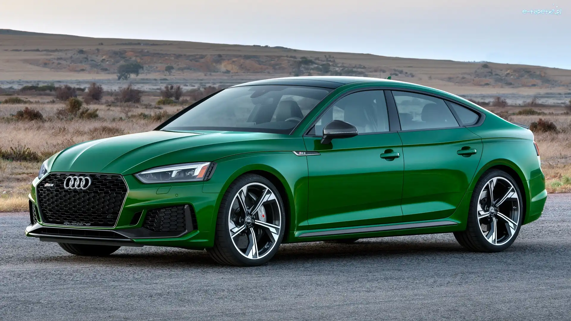 Audi RS5 Sportback, Zielone