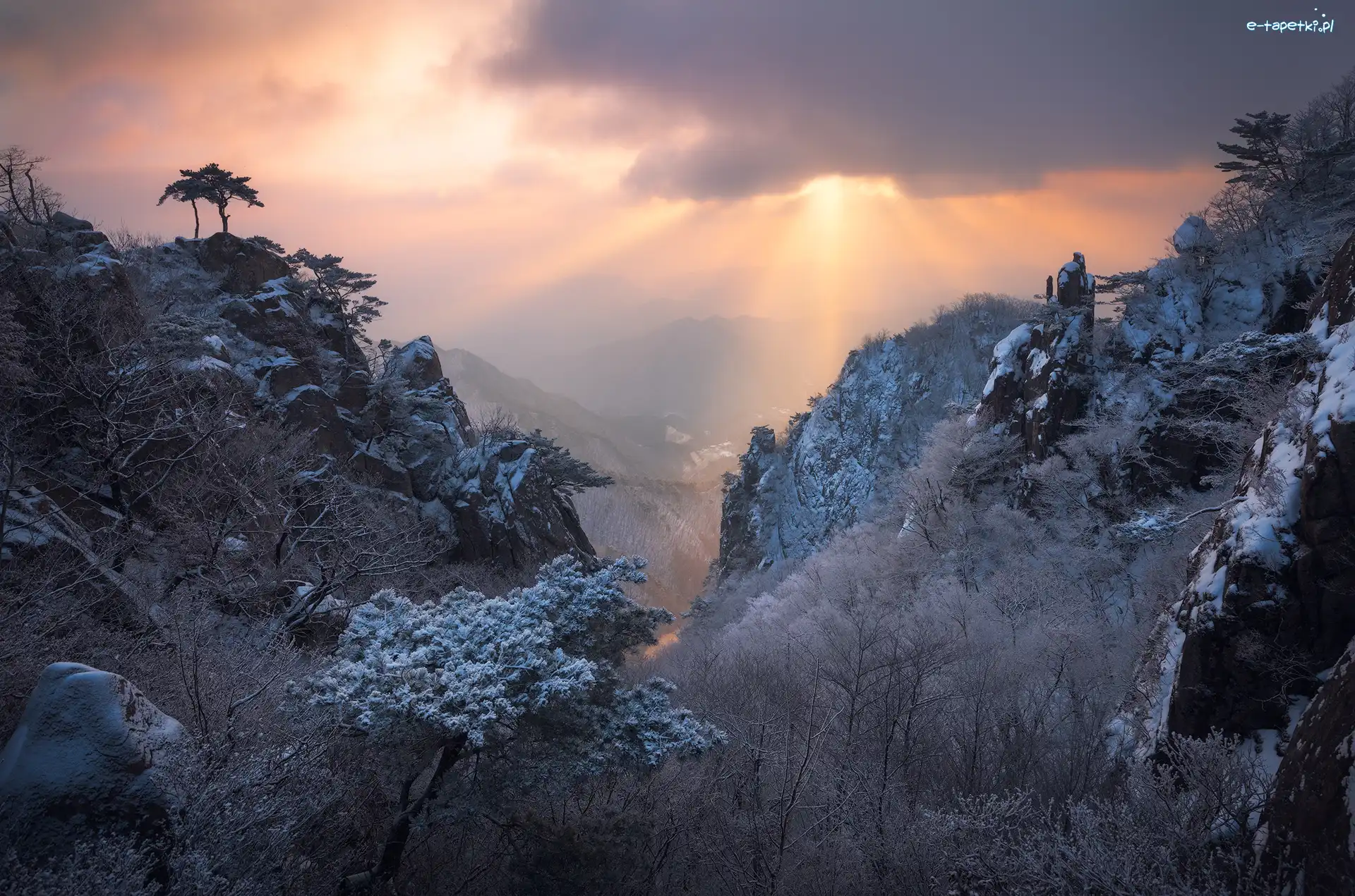Drzewa, Góry, Korea Południowa, Jeolla Północna, Mgła, Przebijające światło, Park prowincjonalny Daedunsan, Zima