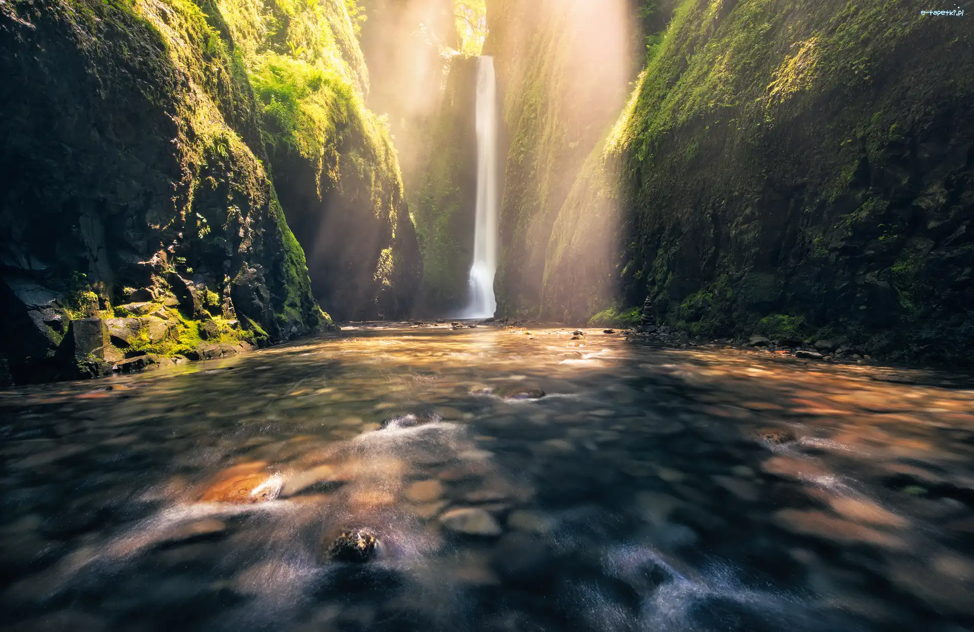 Skały, Kamienie, Wąwóz Oneonta, Rzeka Oneonta Creek, Wodospad Oneonta Gorge, Stany Zjednoczone, Stan Oregon, Roślinność, Rezerwat przyrody Columbia River