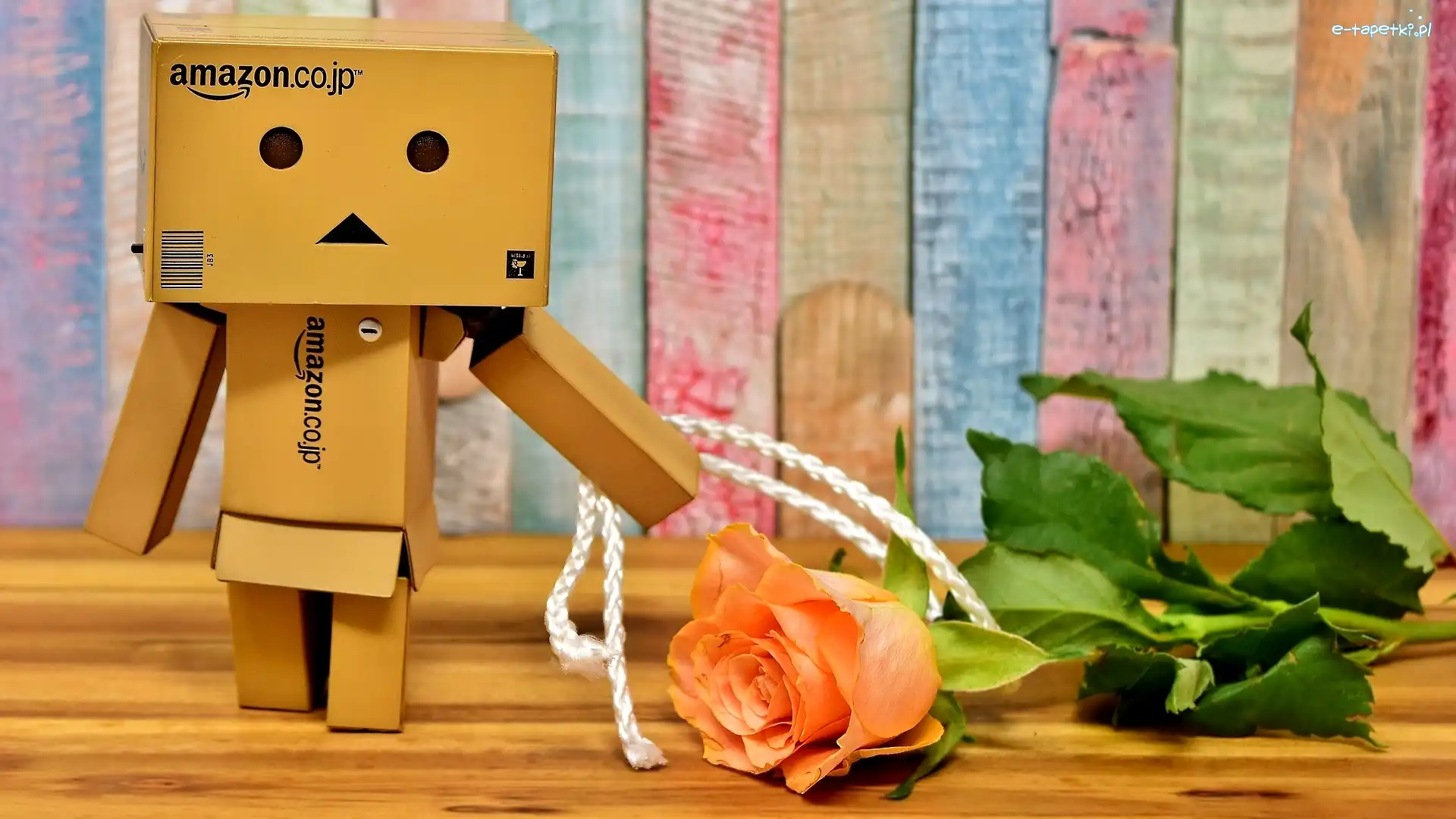 Kartonowy, Danbo, Ludzik, Róża, Sznurek