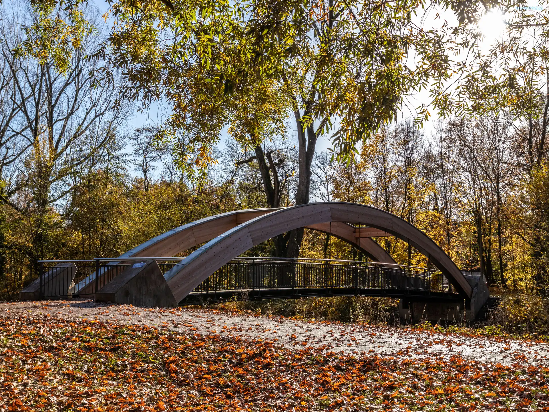 Most, Drzewa, Park