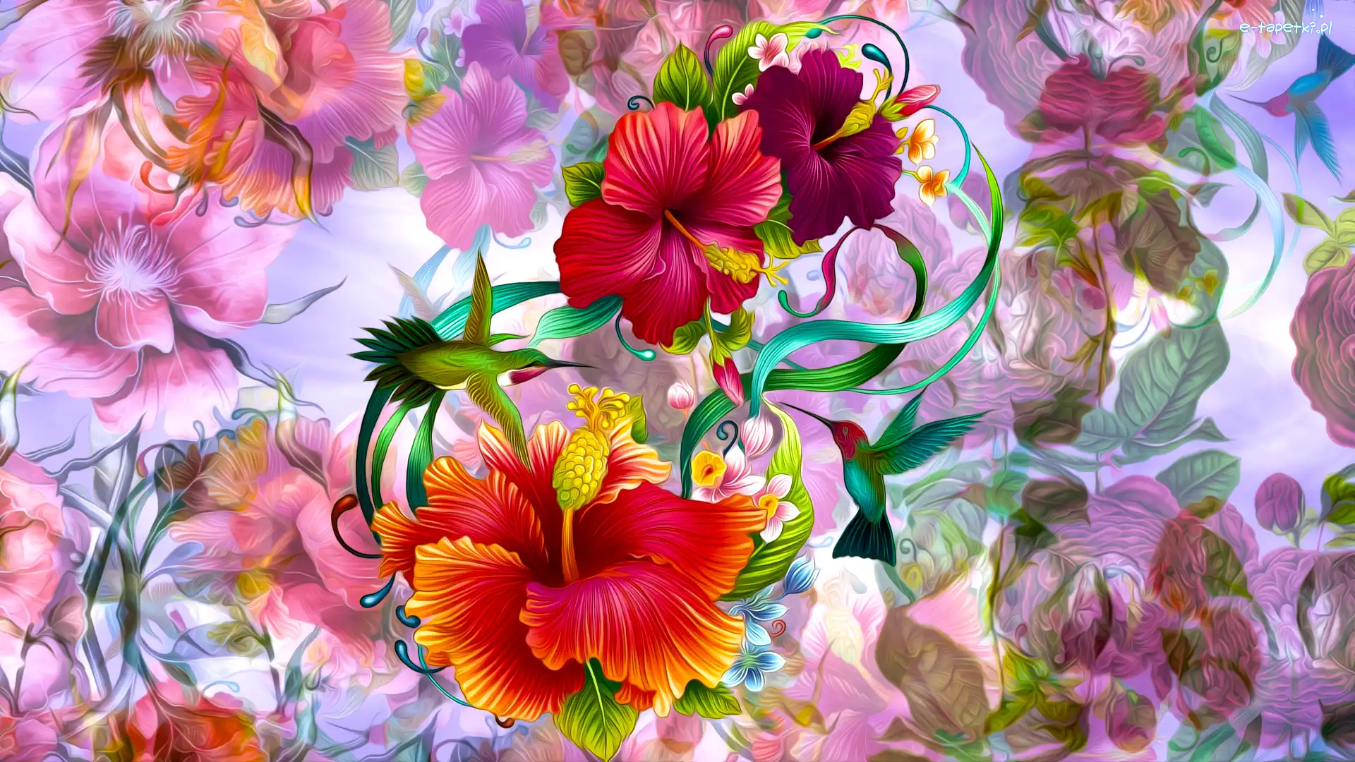 Kwiaty, Ptaki, Hibiskusy, Grafika, Kolibry