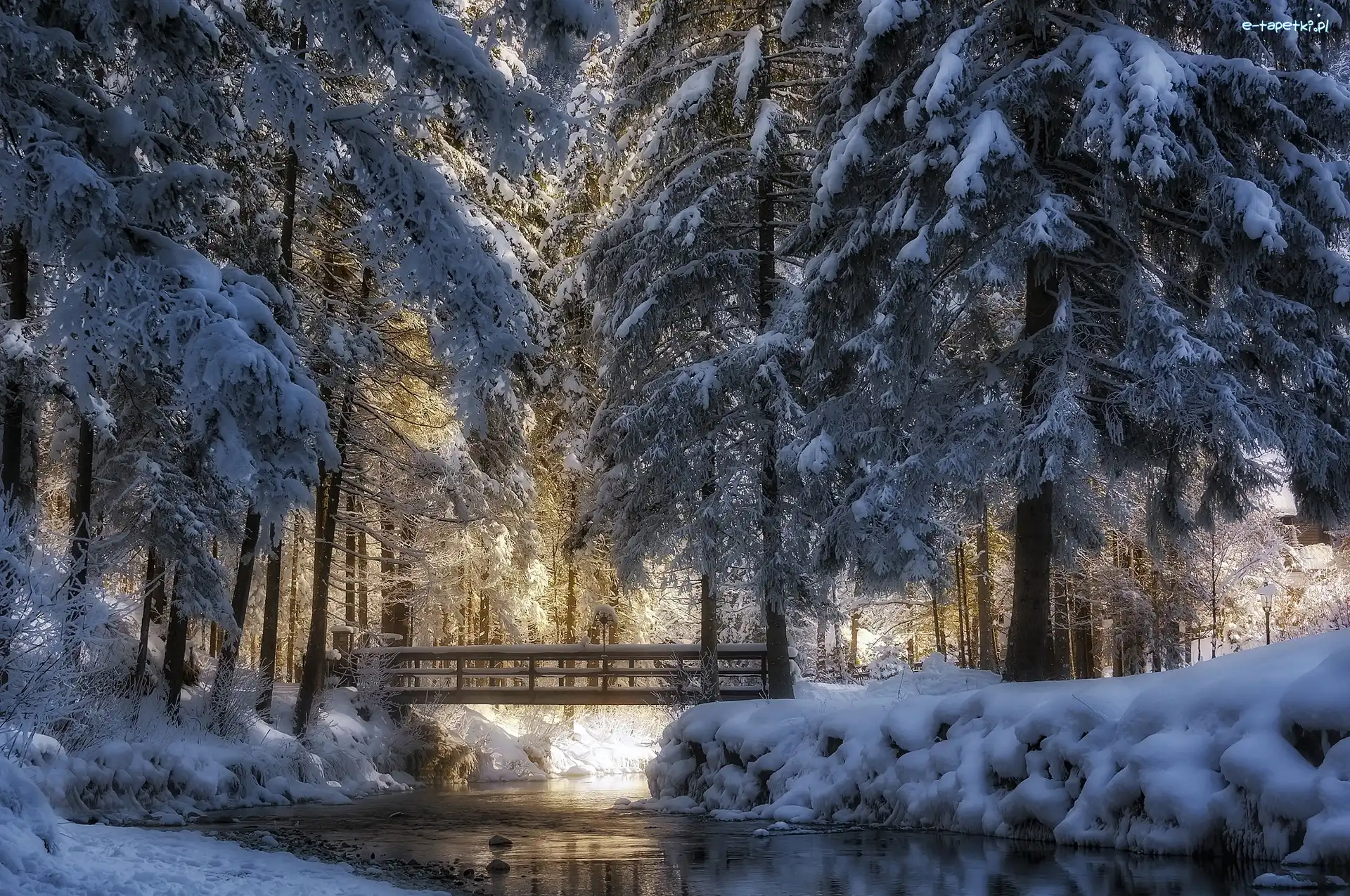 Ośnieżone, Most, Rzeczka, Drzewa, Zima, Park