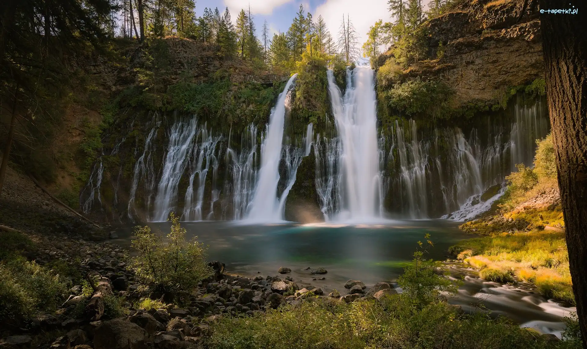 Skała, Drzewa, Stany Zjednoczone, Stan Kalifornia, Rzeka, Park McArthur-Burney Falls, Hrabstwo Shasta, Wodospad Burney Falls