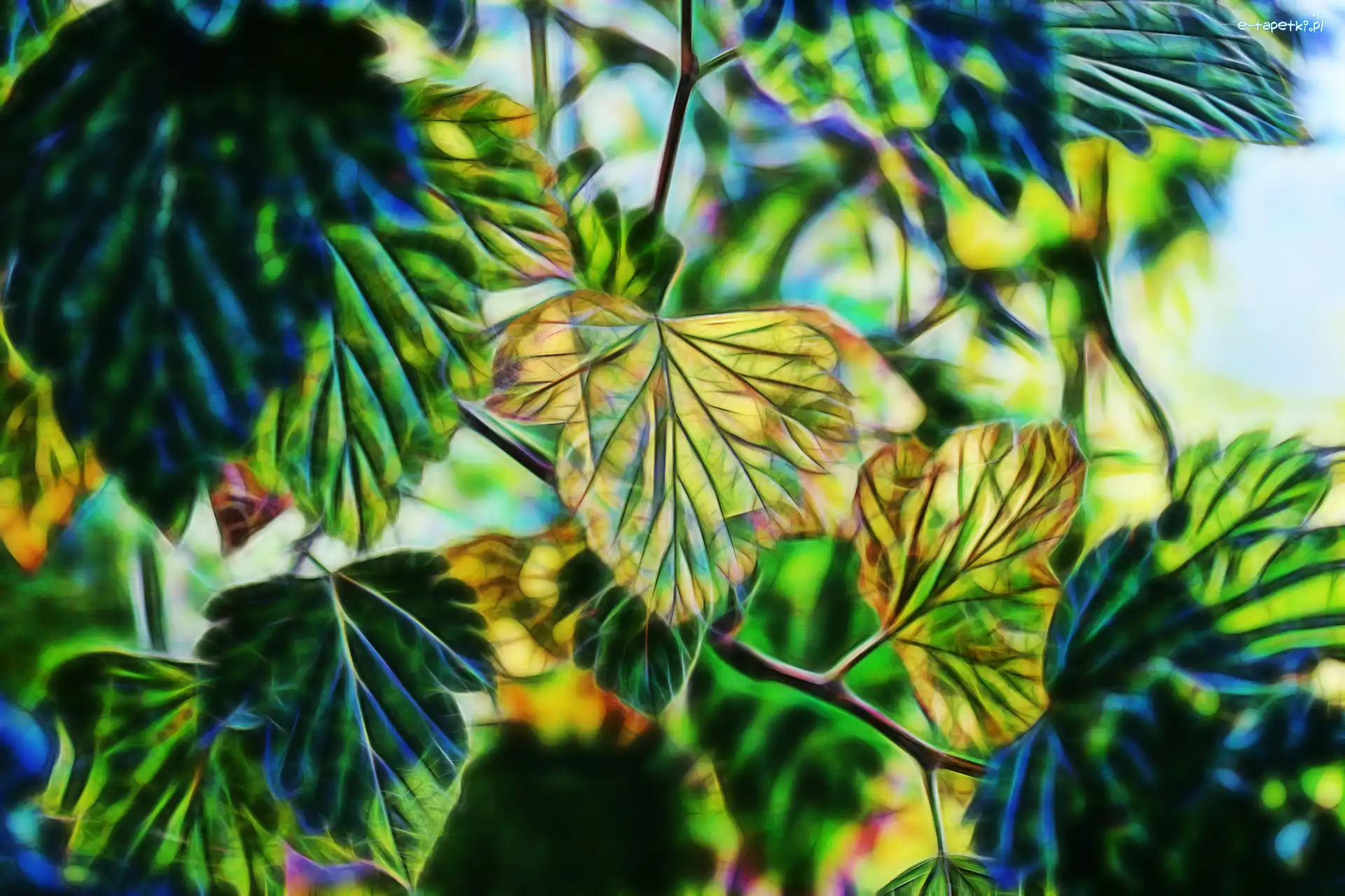Żółte, Fractalius, Liście, Zielone