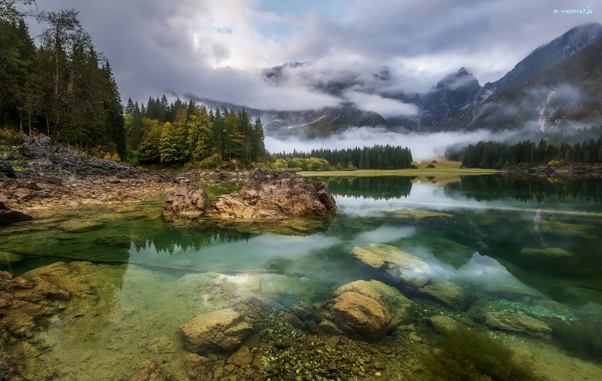Drzewa, Alpy Julijskie, Skały, Włochy, Góry, Jezioro Fusine Lake