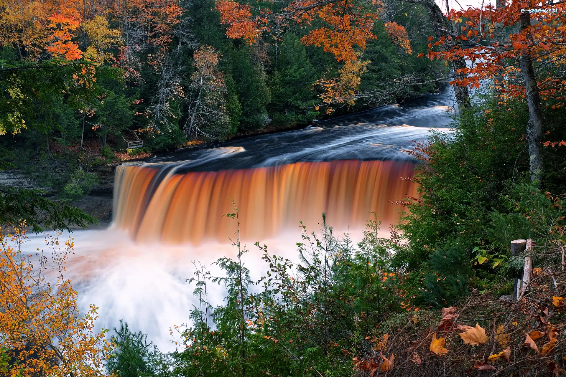 Rzeka Tahquamenon, Park stanowy Tahquamenon Falls, Stany Zjednoczone, Stan Michigan, Las, Jesień, Miejscowość Paradise, Wodospad Tahquamenon