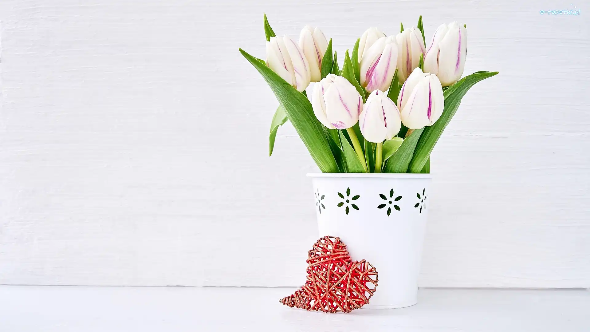 Serce, Doniczka, Tulipany
