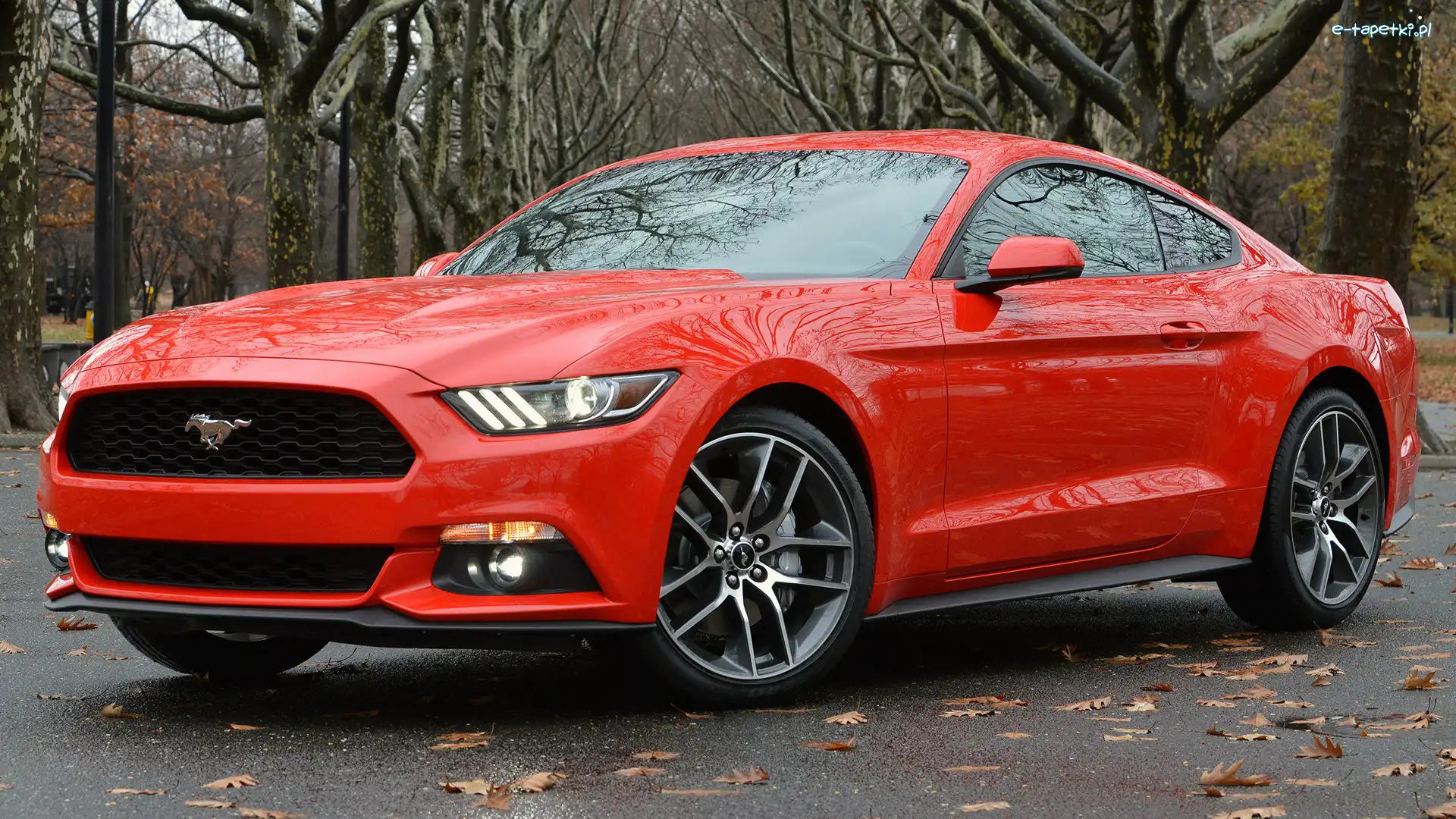 Coupe, Ford Mustang, Czerwony