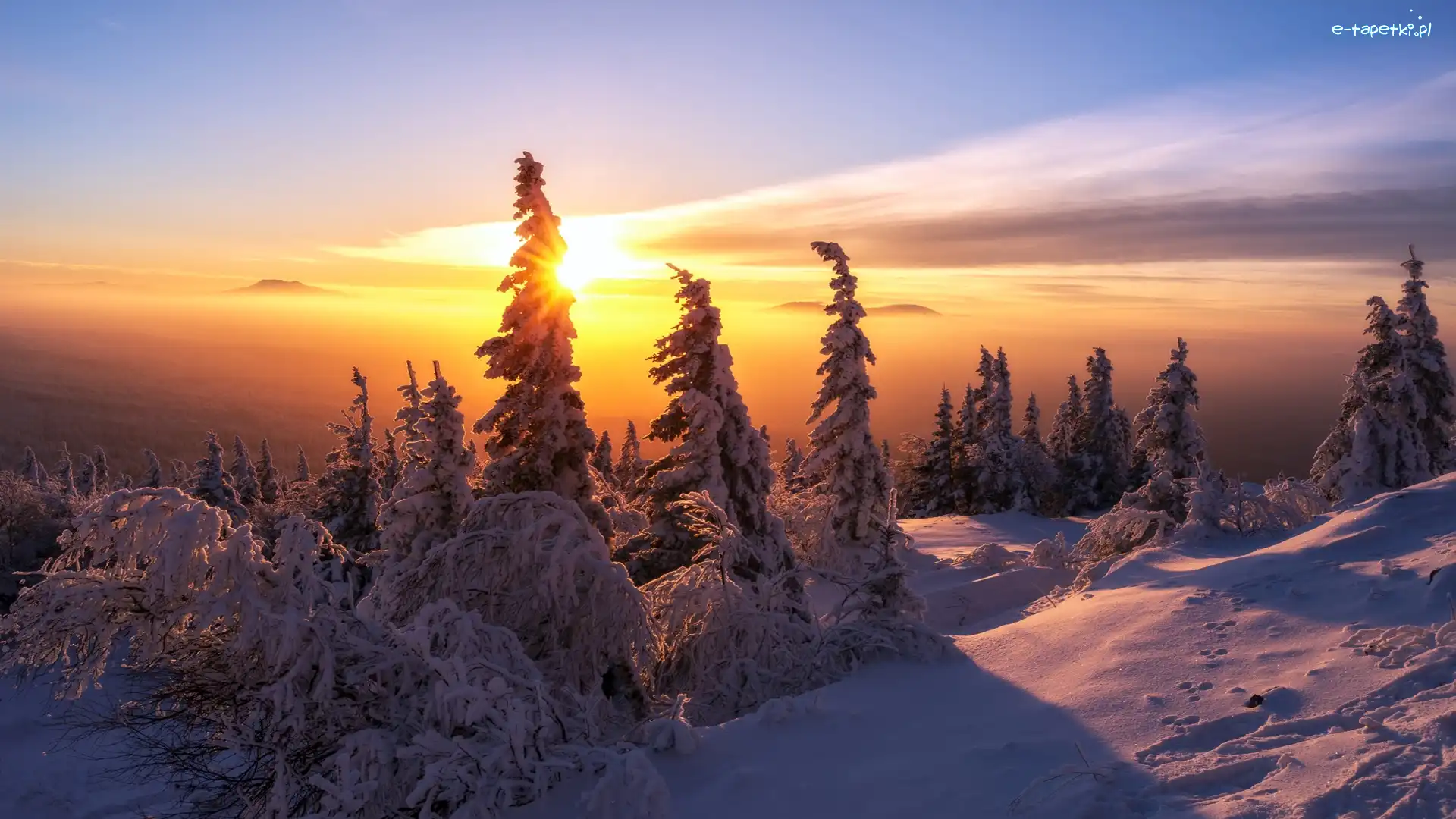 Wschód słońca, Ośnieżone, Drzewa, Mgła, Las, Zima