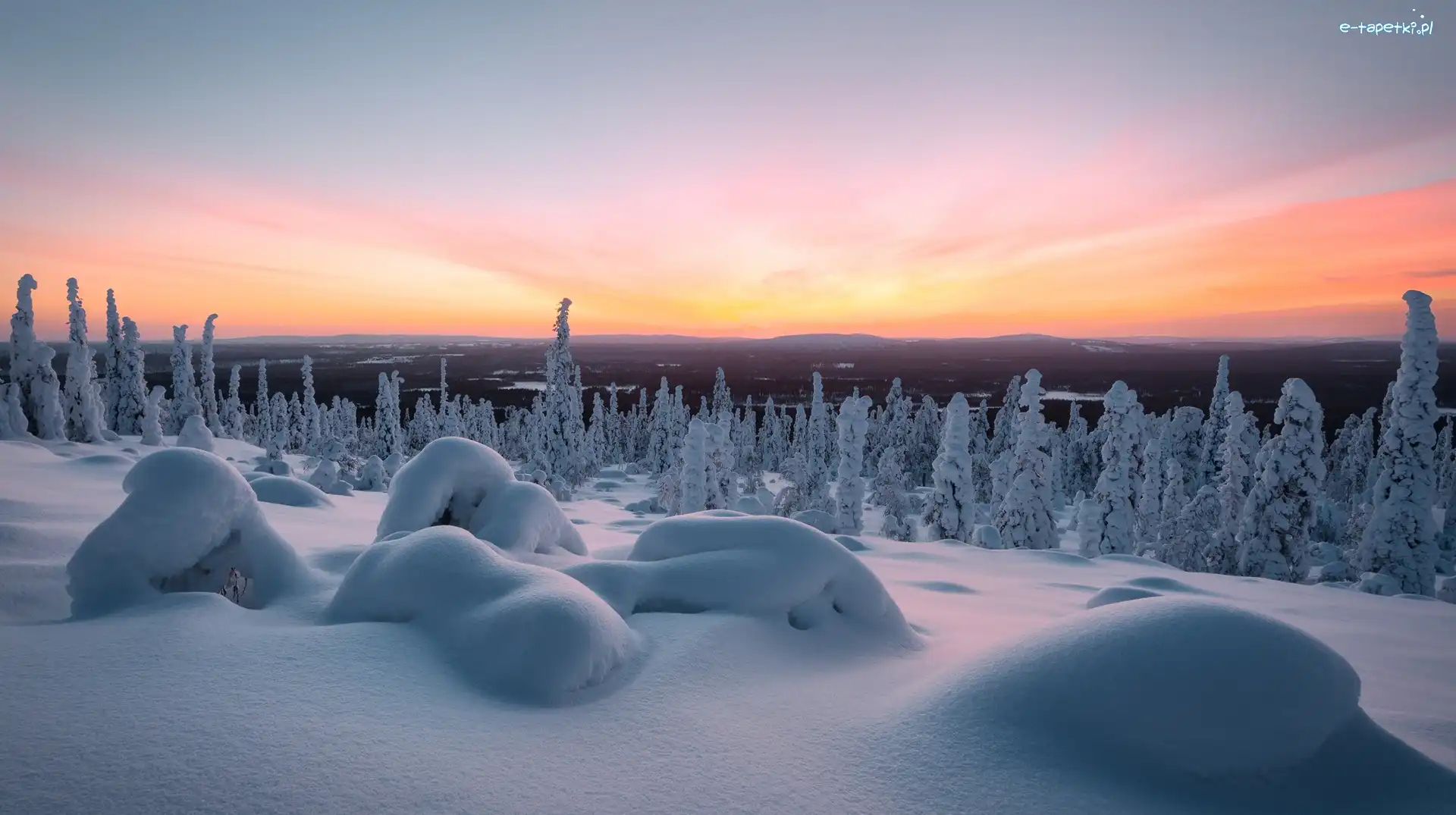 Laponia, Drzewa, Góry, Finlandia, Śnieg, Zima