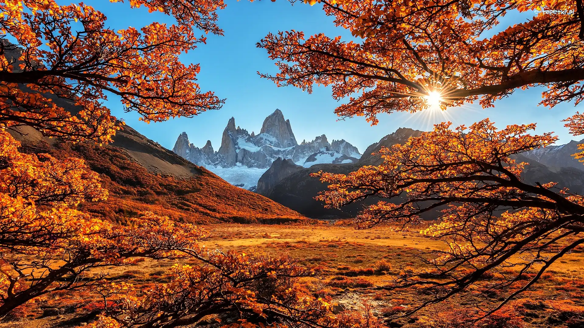 Argentyna, Szczyt Fitz Roy, Gałęzie, Drzewa, Patagonia, Promienie słońca, Jesień, Góry Andy