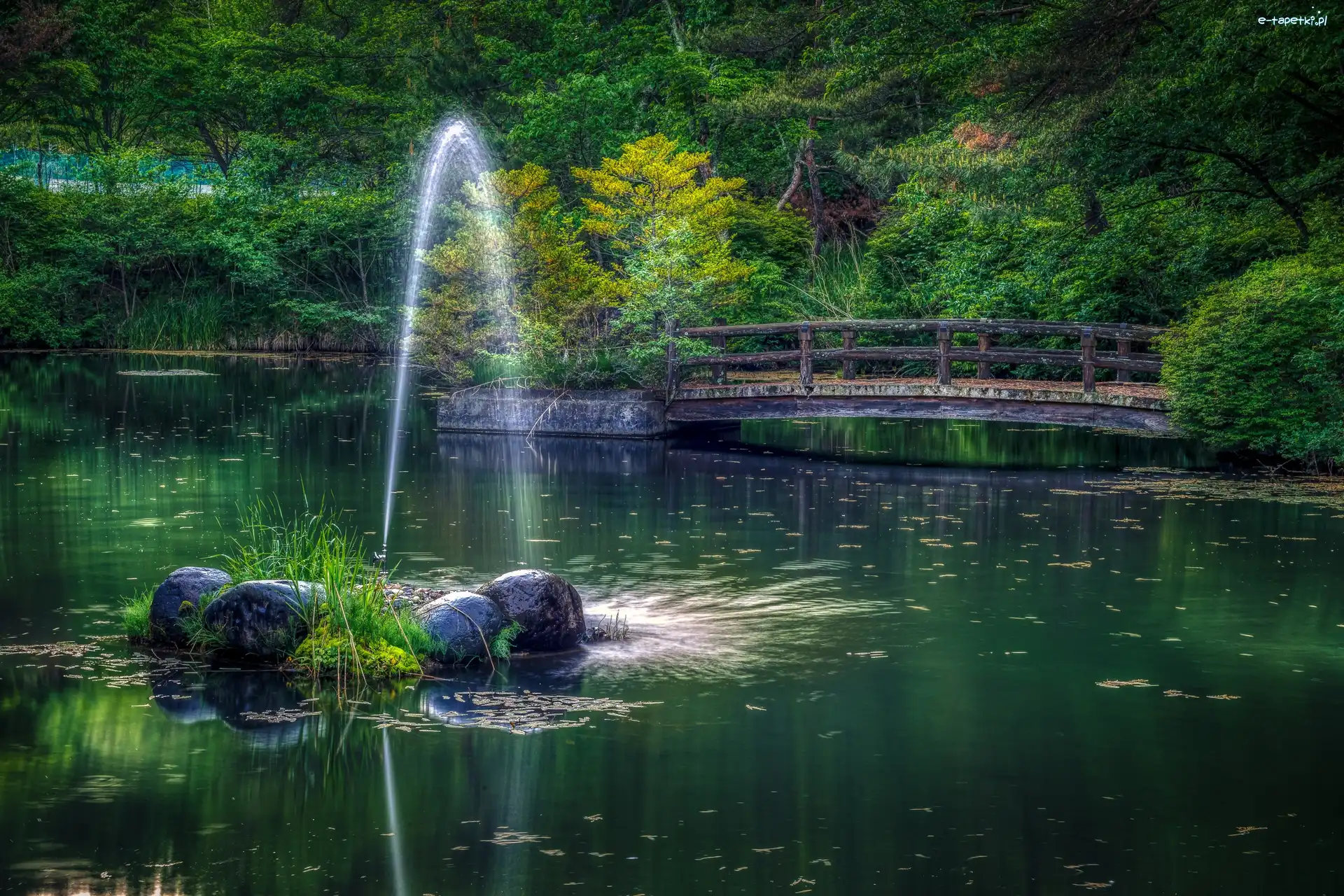 Drzewa, Most, Park, HDR, Fontanna, Staw