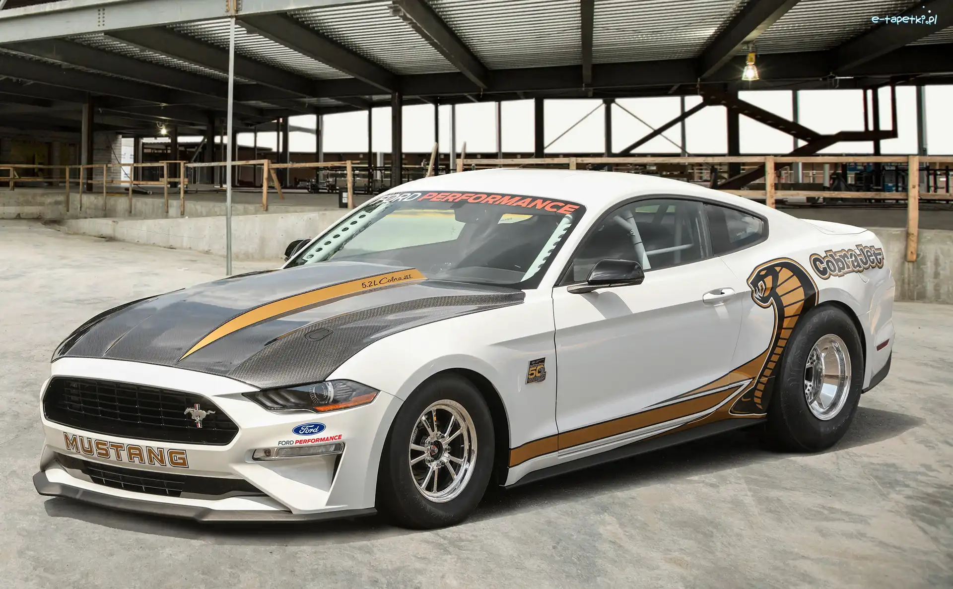 Rajdowy, Ford Mustang Cobra Jet
