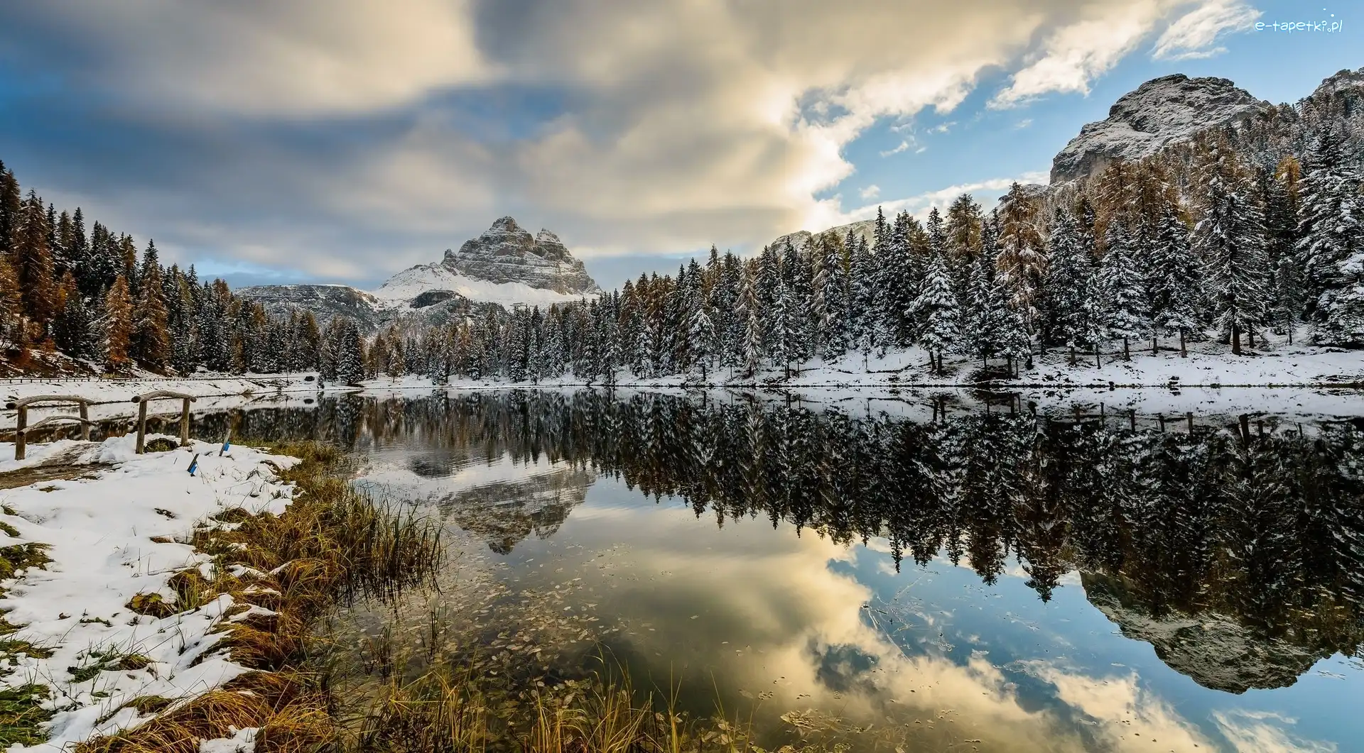 Drzewa, Las, Góry Dolomity, Jezioro Antorno Lake, Zima, Włochy, Prowincja Belluno, Masyw Tre Cime di Lavaredo, Mostek