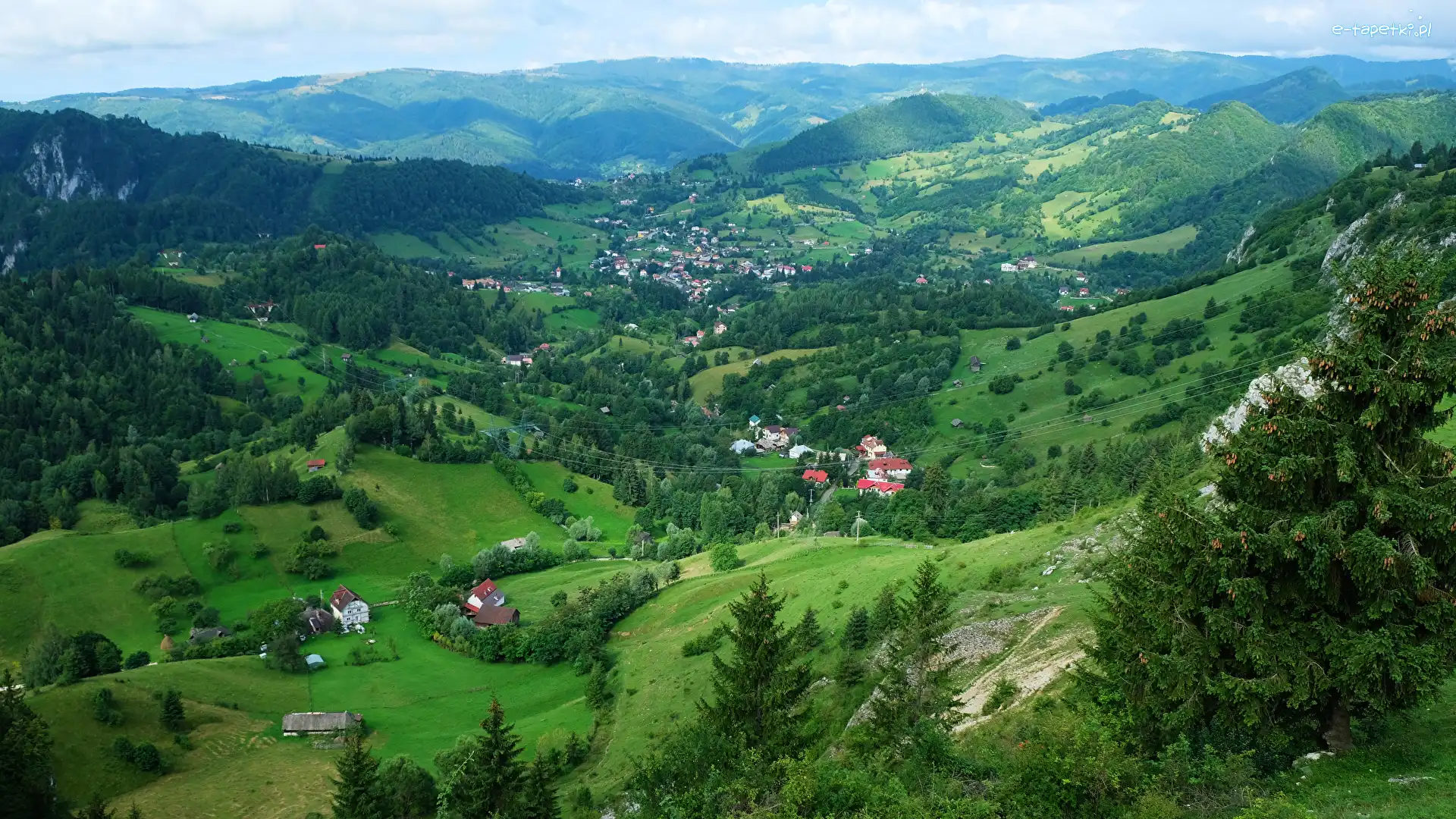 Rumunia, Góry Piatra Craiului, Drzewa, Góry Bucegi, Domy, Transylwania, Dolina