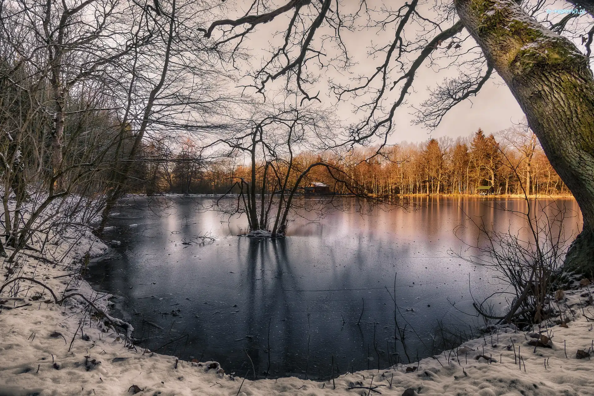 Staw, Drzewa, Śnieg, Zima