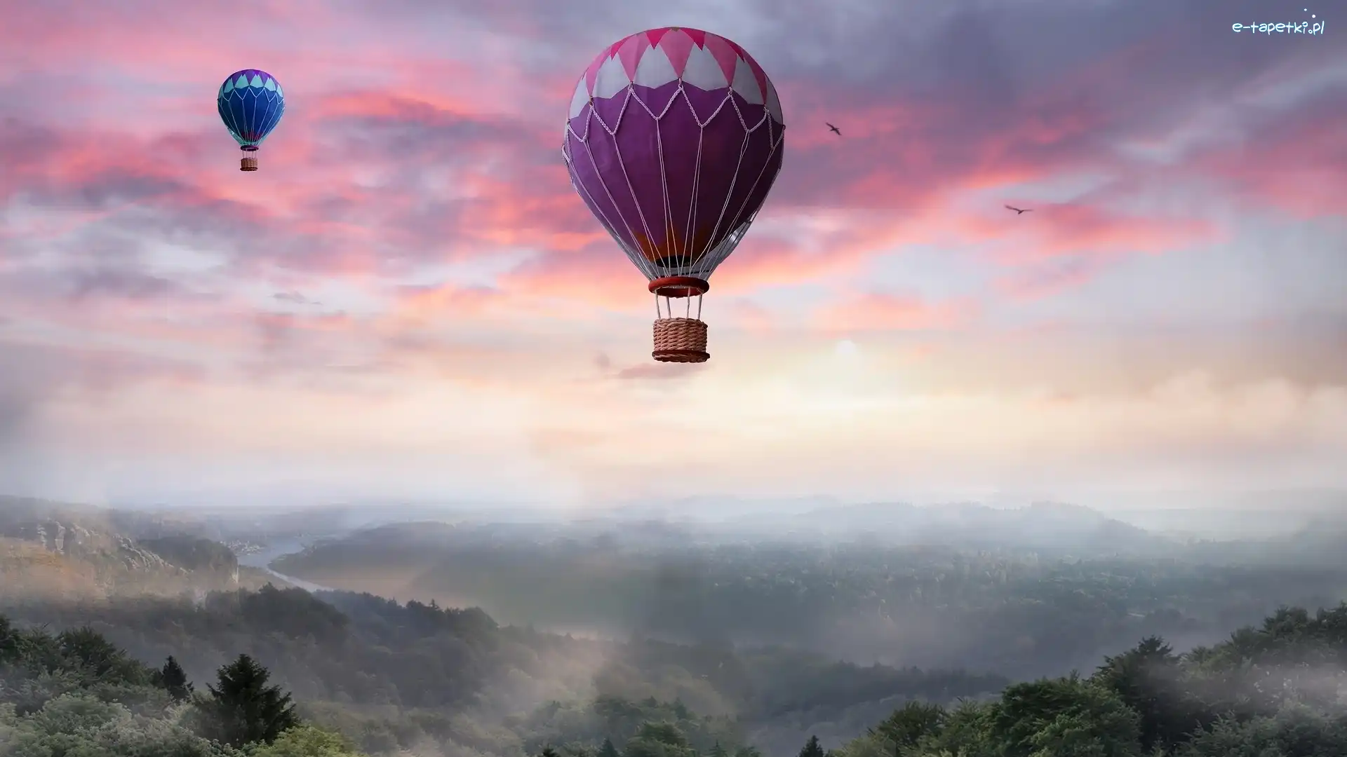 Mgła, Drzewa, Roślinność, Ptaki, Góry, Balony