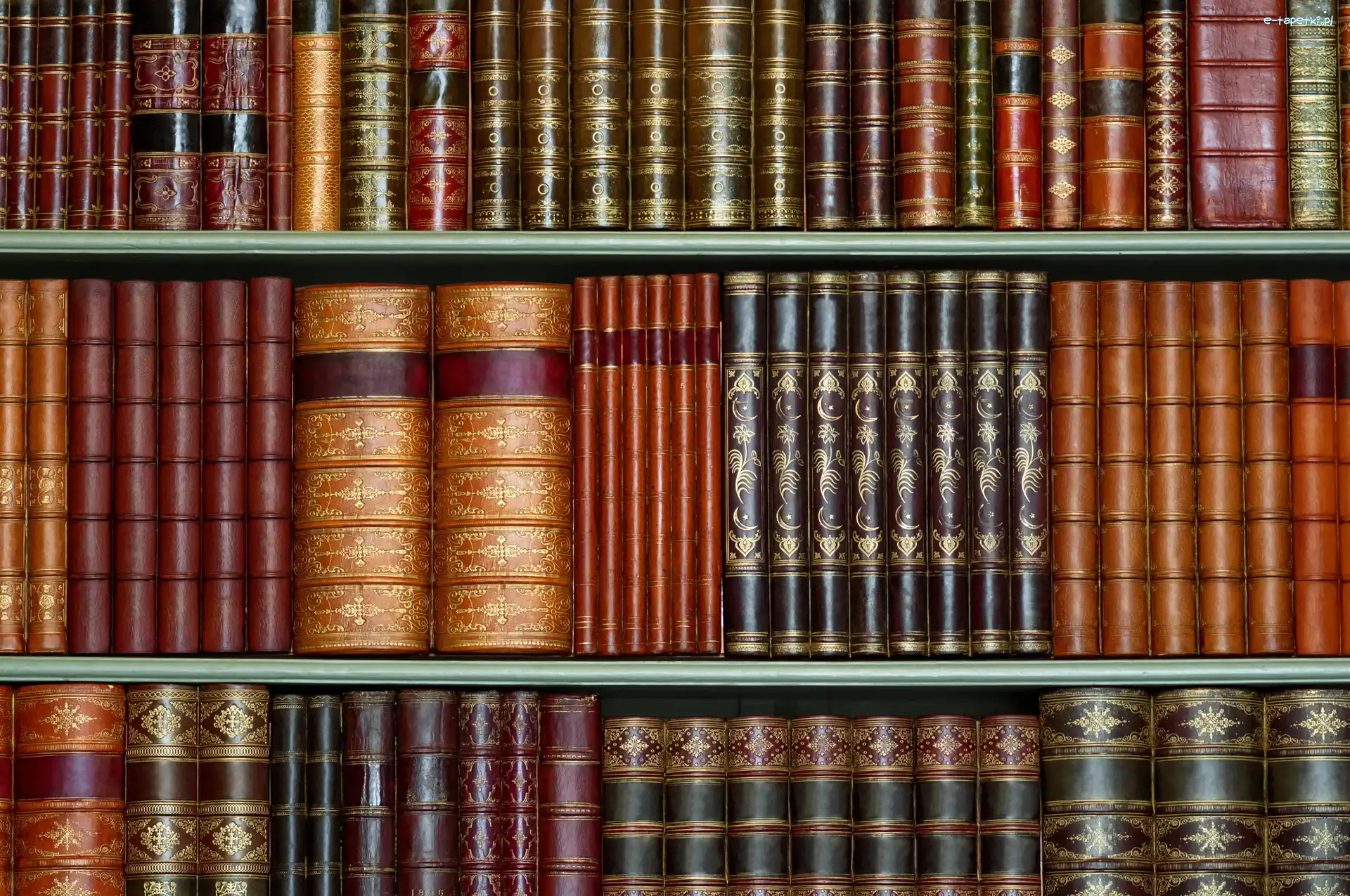 Biblioteka, Regał, Książki