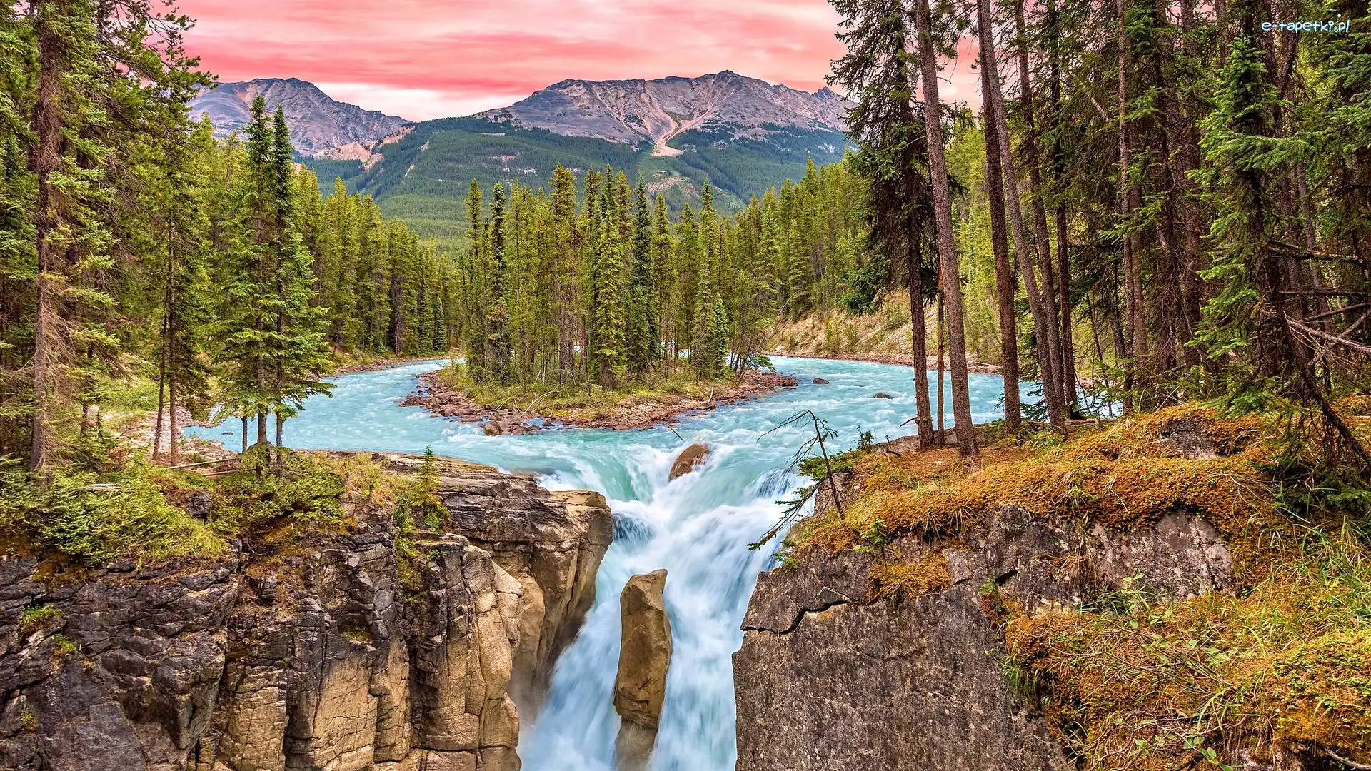 Skały, Rzeka Sunwapta, Kanada, Prowincja Alberta, Park Narodowy Jasper, Góry, Drzewa, Wodospad Sunwapta Falls