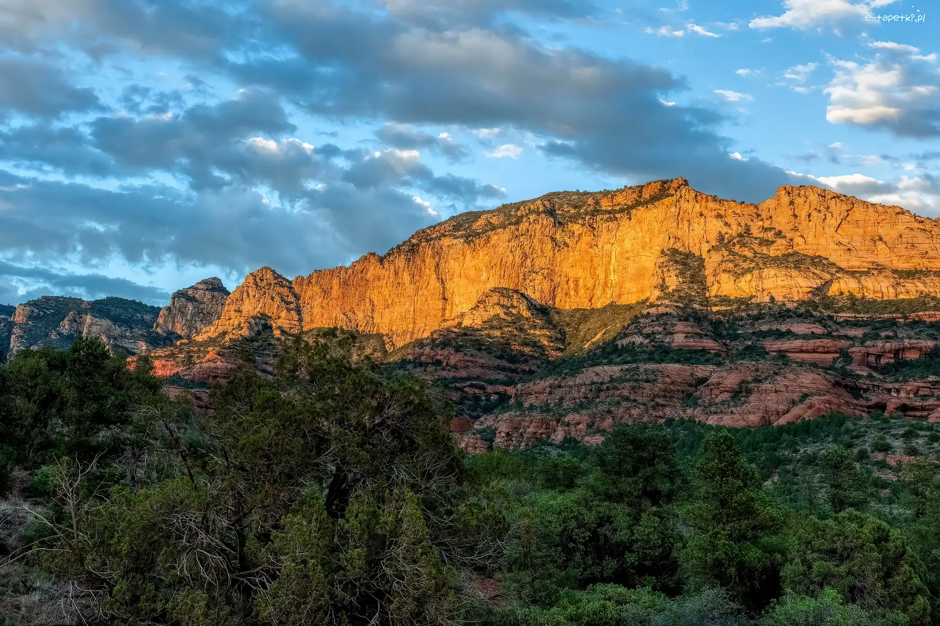 Skały, Góry, Kanion, Park Stanowy Slide Rock, Kanion Oak Creek Canyon, Stany Zjednoczone, Stan Arizona, Drzewa, Lasy