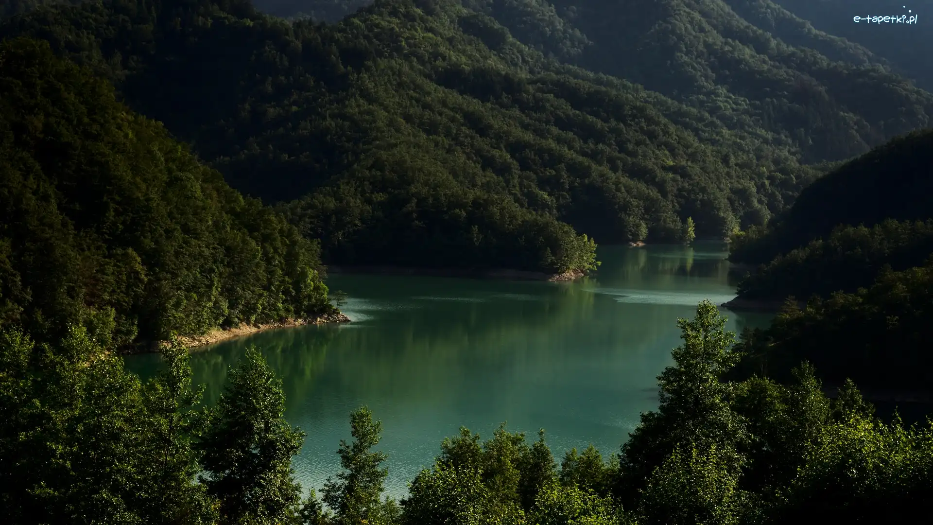 Góry, Drzewa, Lasy, Jezioro