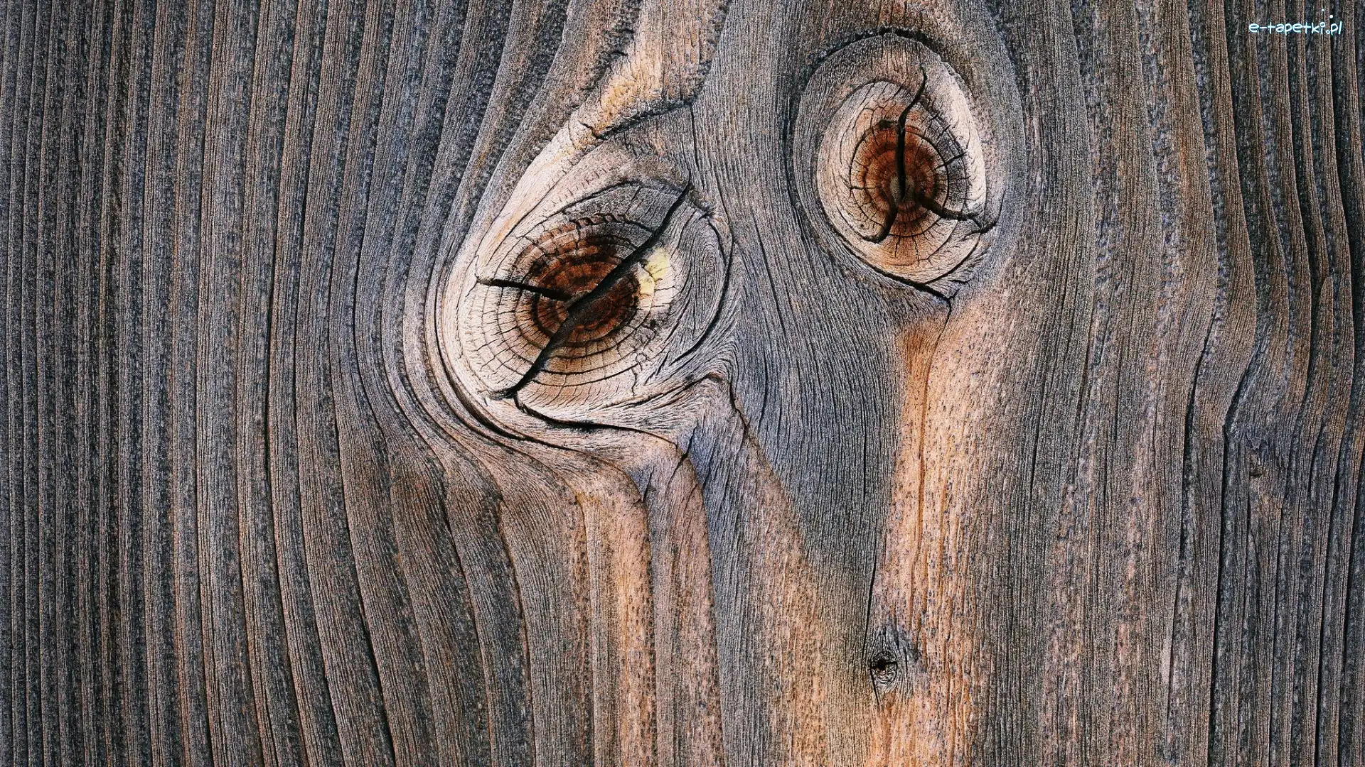 Sęki, Drzewo
