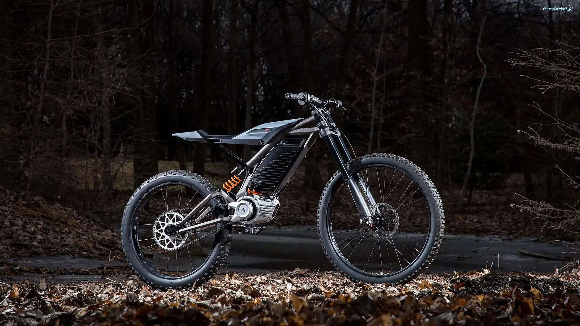 Elektryczny, Concept, Skuter, Harley Davidson LiveWire
