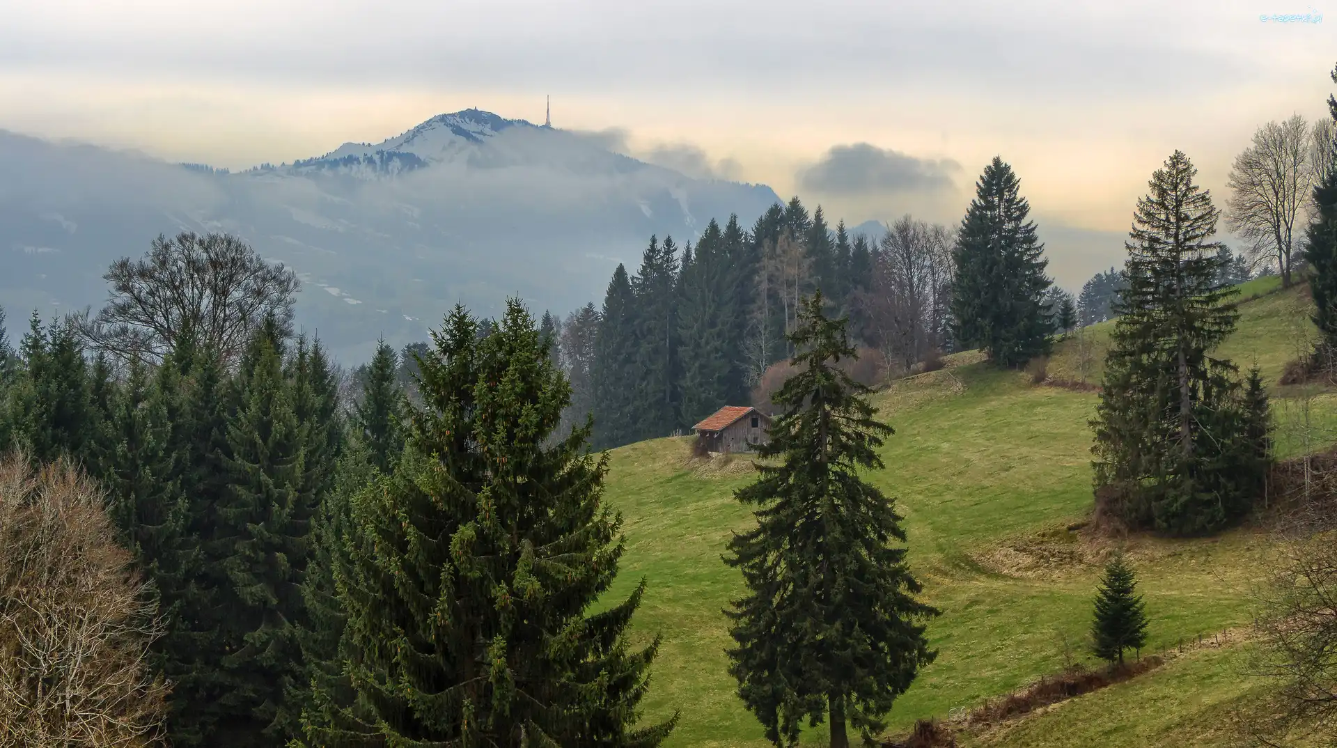 Góry, Drzewa, Dom, Wzgórze, Las
