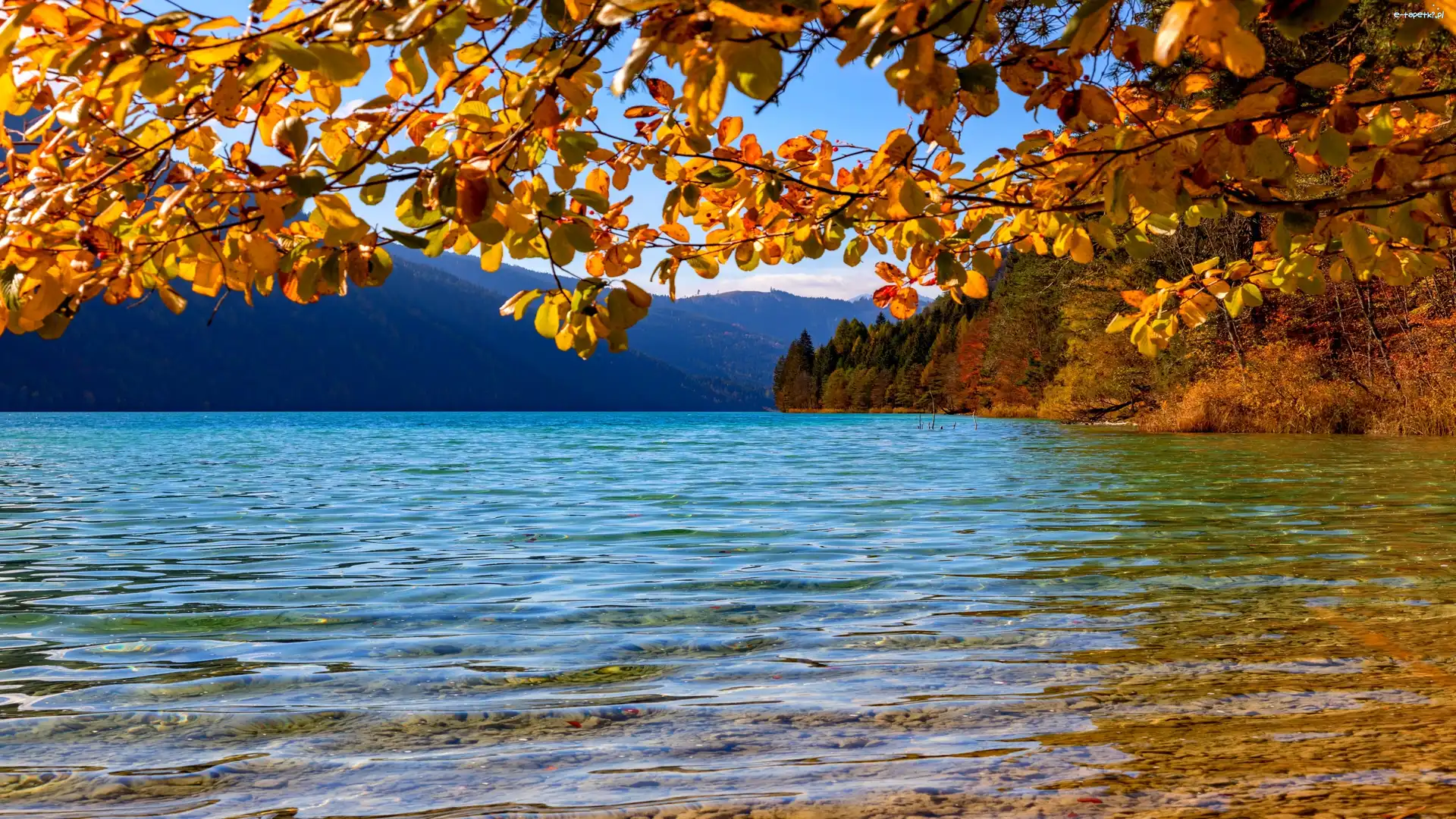 Drzewa, Gałęzie, Austria, Jesień, Liście, Góry, Alpy Gailtalskie, Jezioro Weissensee