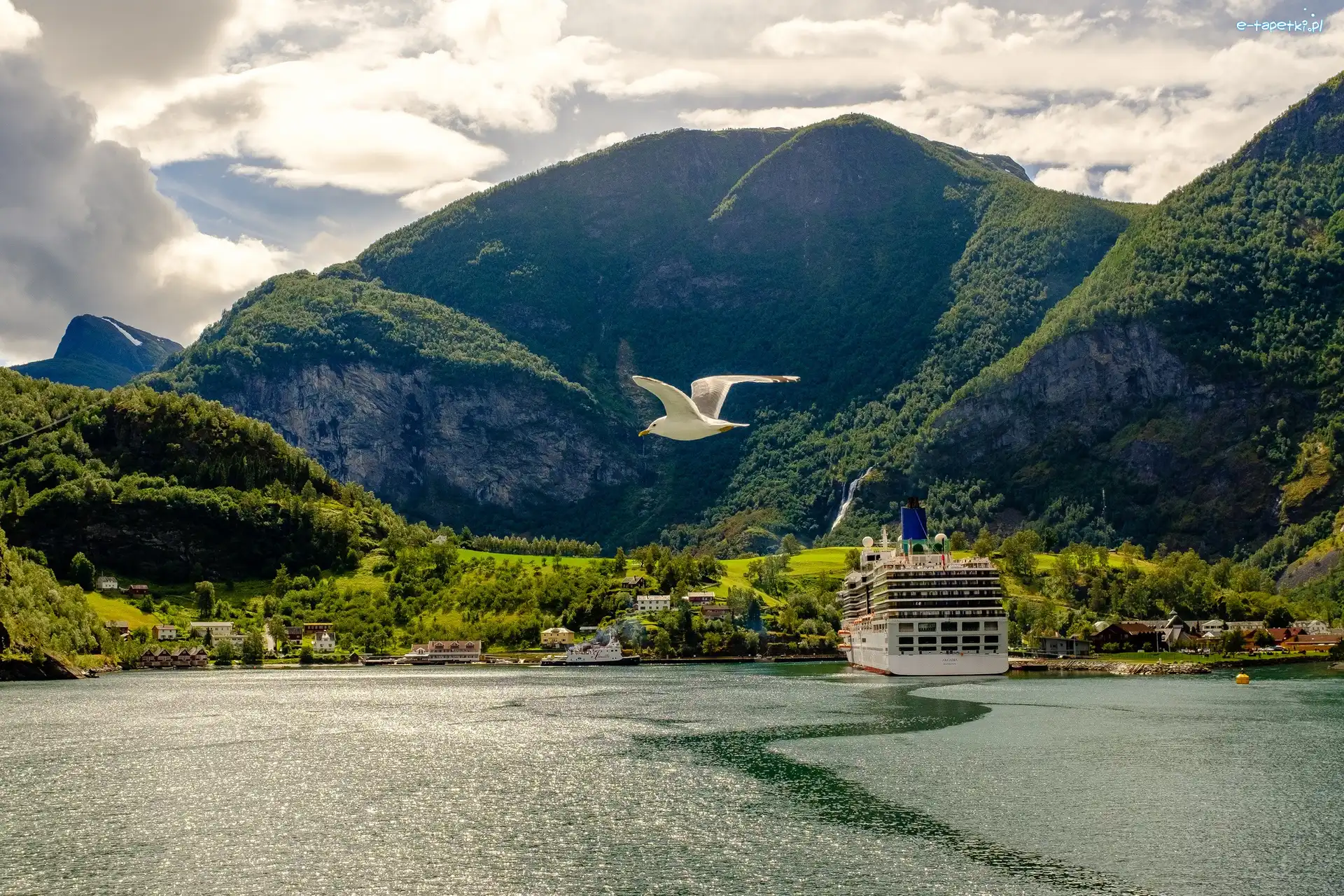 Norwegia, Fiord Aurlandsfjord, Statek, Brzeg, Góry, Aurland, Mewa