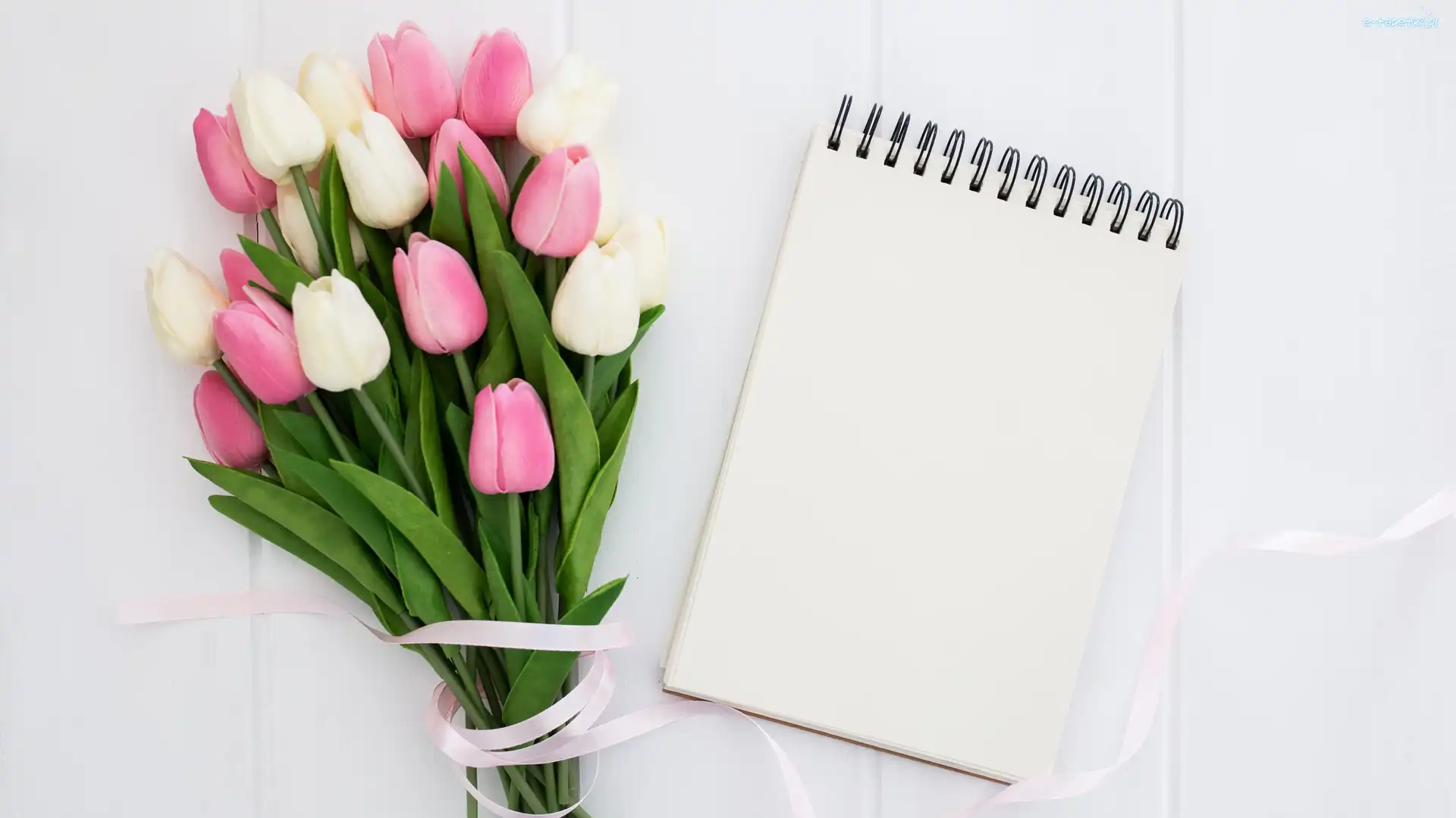 Wstążka, Tulipany, Bukiet, Notes, Białe, Różowe