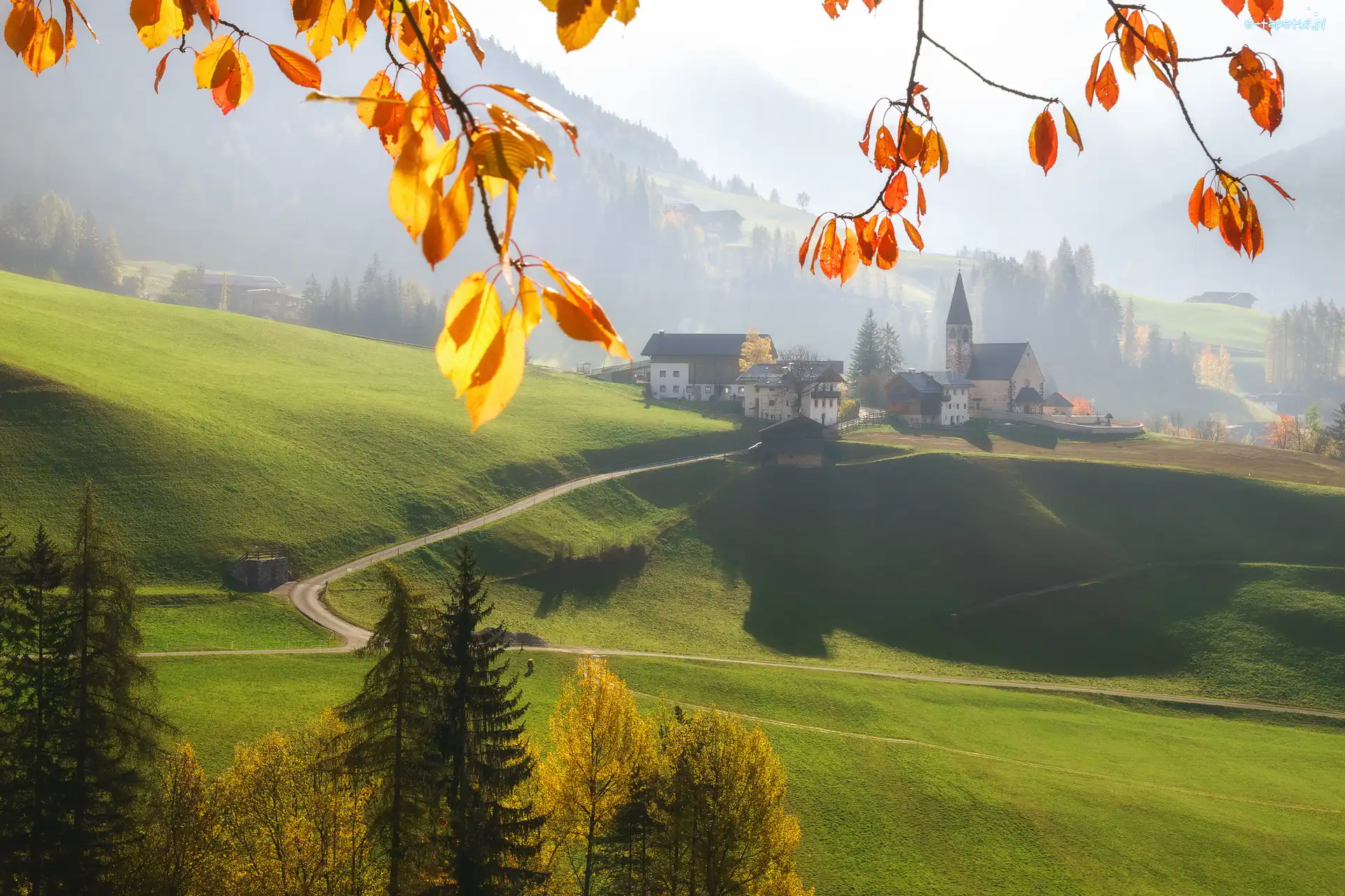 Gałązki, Wieś Santa Maddalena, Włochy, Kościół, Lasy, Drzewa, Domy, Dolina Val di Funes, Góry, Liście