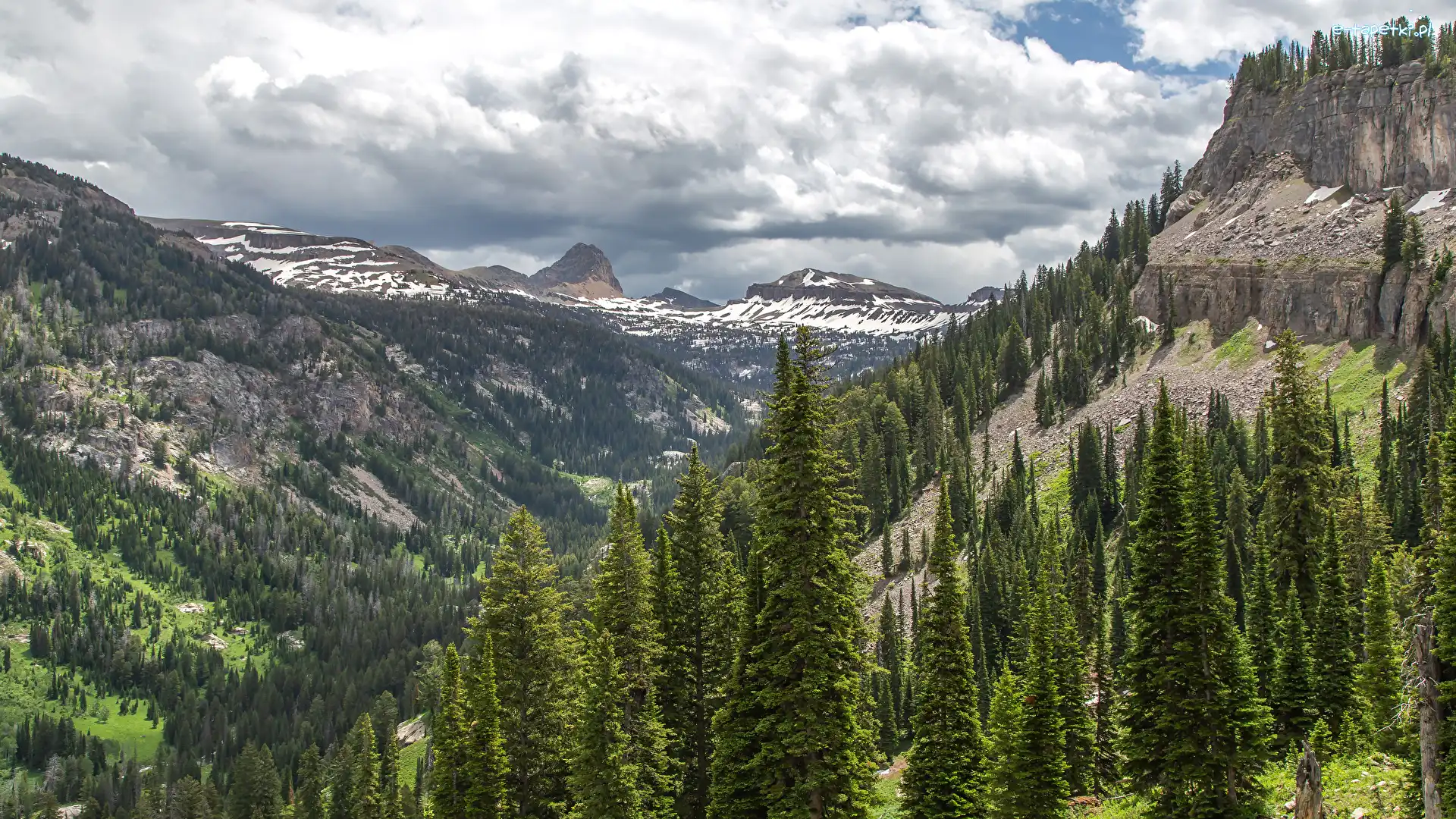 Stany Zjednoczone, Caribou-Targhee National Forest, Świerki, Las, Góry, Chmury, Dolina