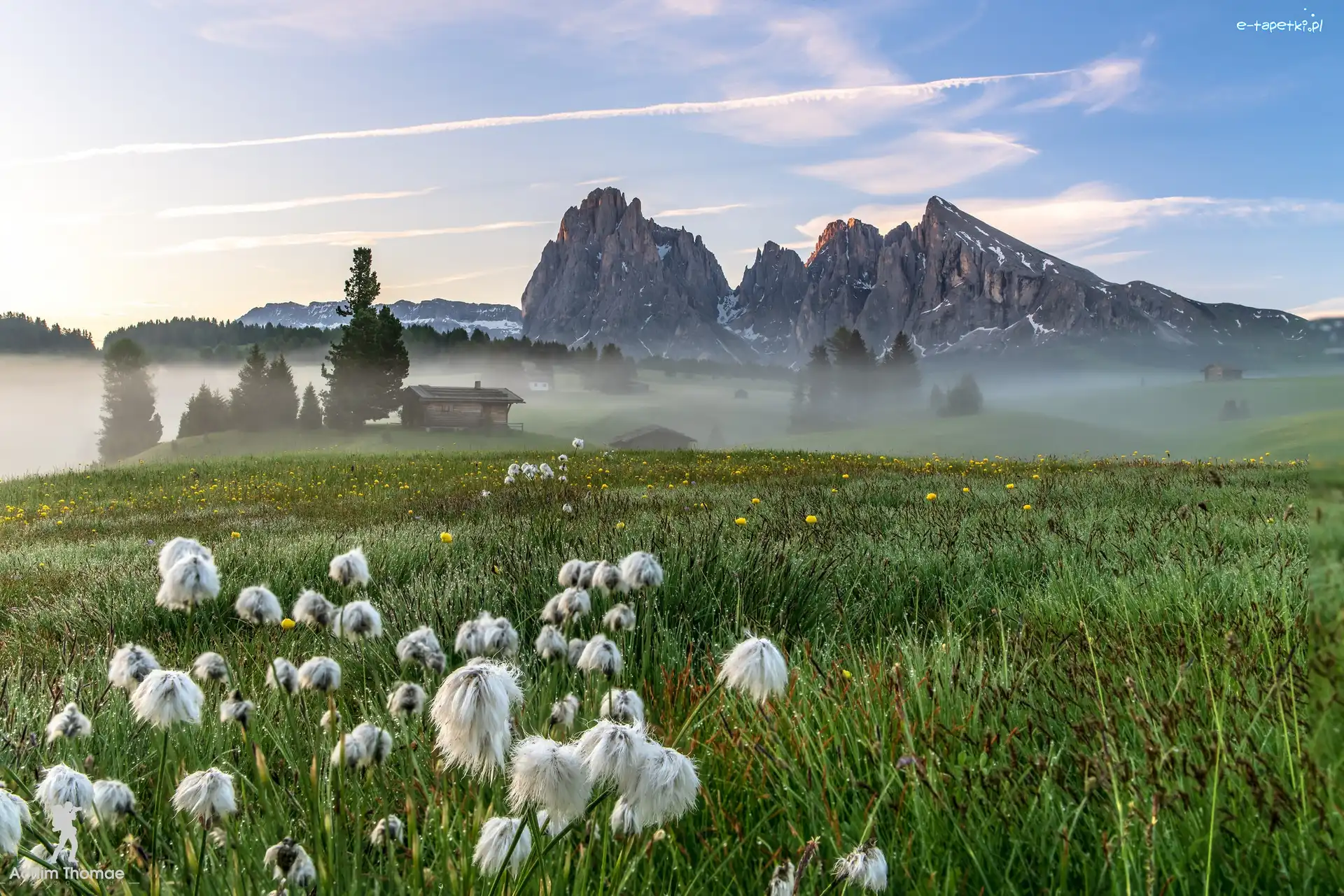 Dolina Val Gardena, Płaskowyż Seiser Alm, Domy, Kwiaty, Łąka, Włochy, Dolomity, Mgła, Góry Sassolungo
