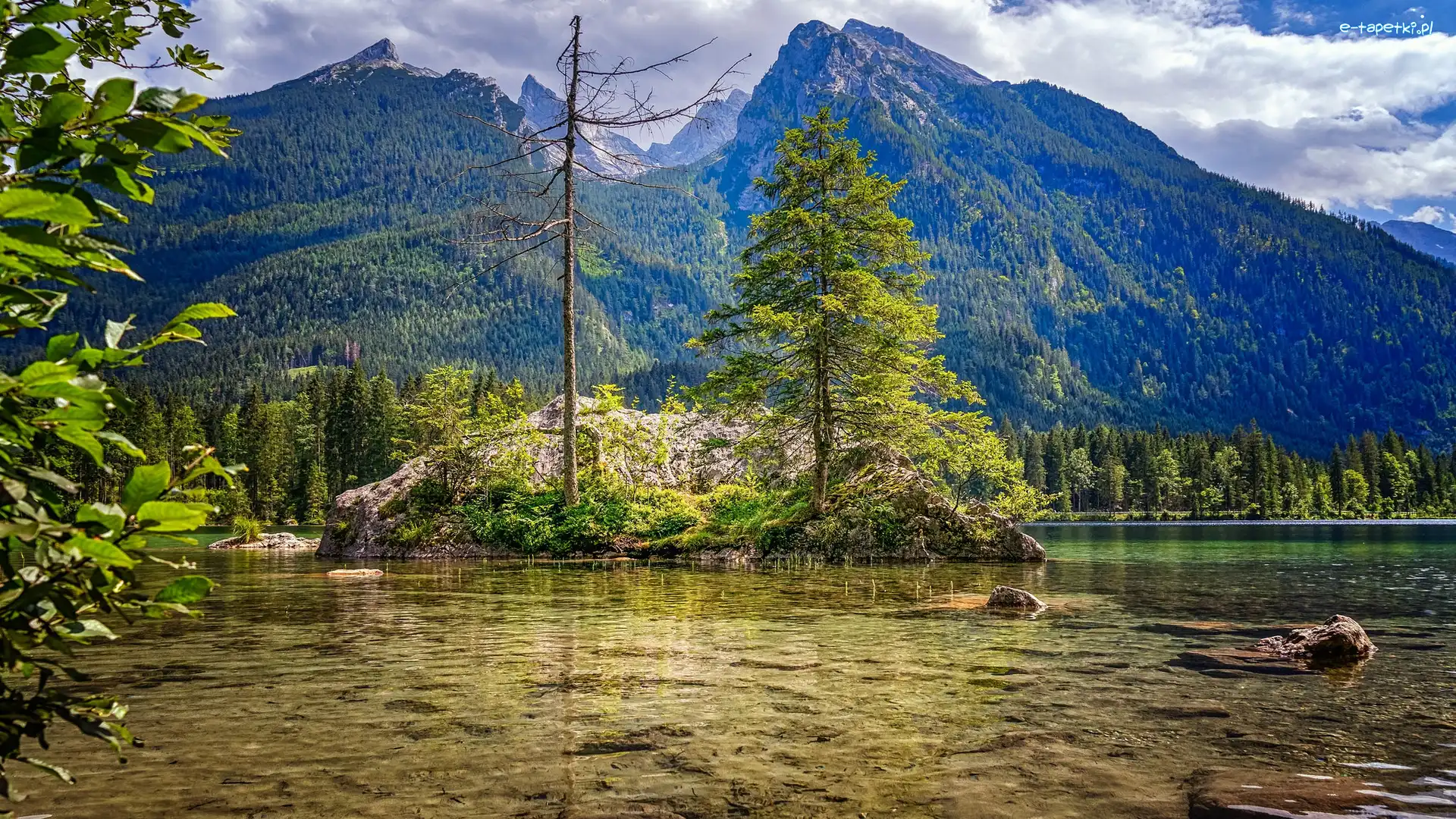 Niemcy, Skały, Drzewa, Alpy, Góry, Bawaria, Jezioro Hintersee