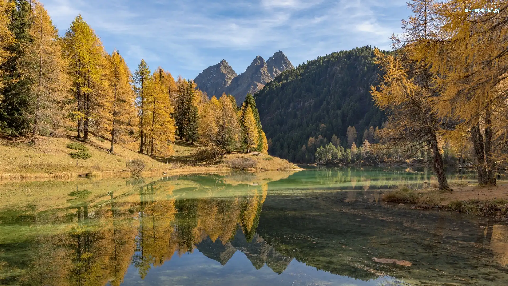 Drzewa, Góry, Szwajcaria, Kanton Gryzonia, Alpy Retyckie, Modrzewie, Jesień, Jezioro Lai da Palpuogna