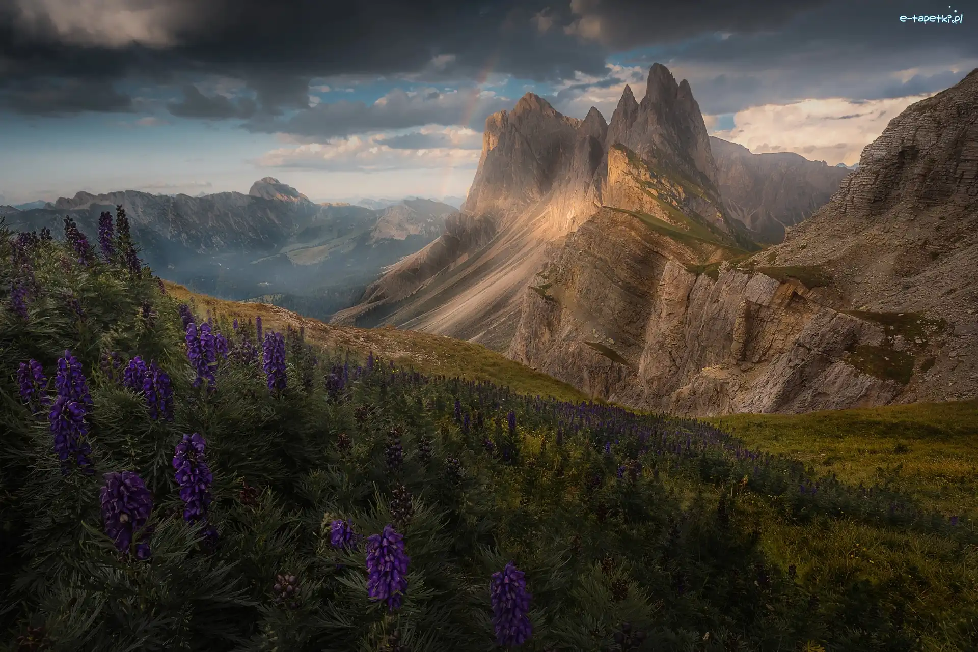 Dolomity, Góry, Fioletowe, Łąka, Zbocze, Włochy, Tęcza, Kwiaty, Góra Seceda