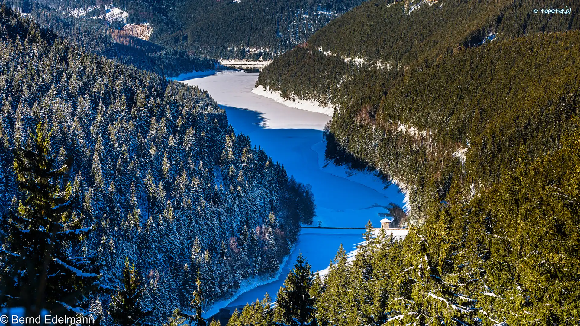 Niemcy, Jezioro Ohratalsperre, Drzewa, Las Turyński, Góry, Turyngia, Zima