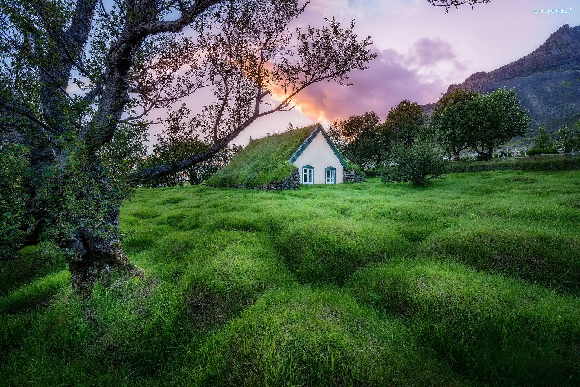 Drzewa, Trawy, Cmentarz, Kościół Hofskirkja, Budynek, Islandia, Hof, Góry, Osada