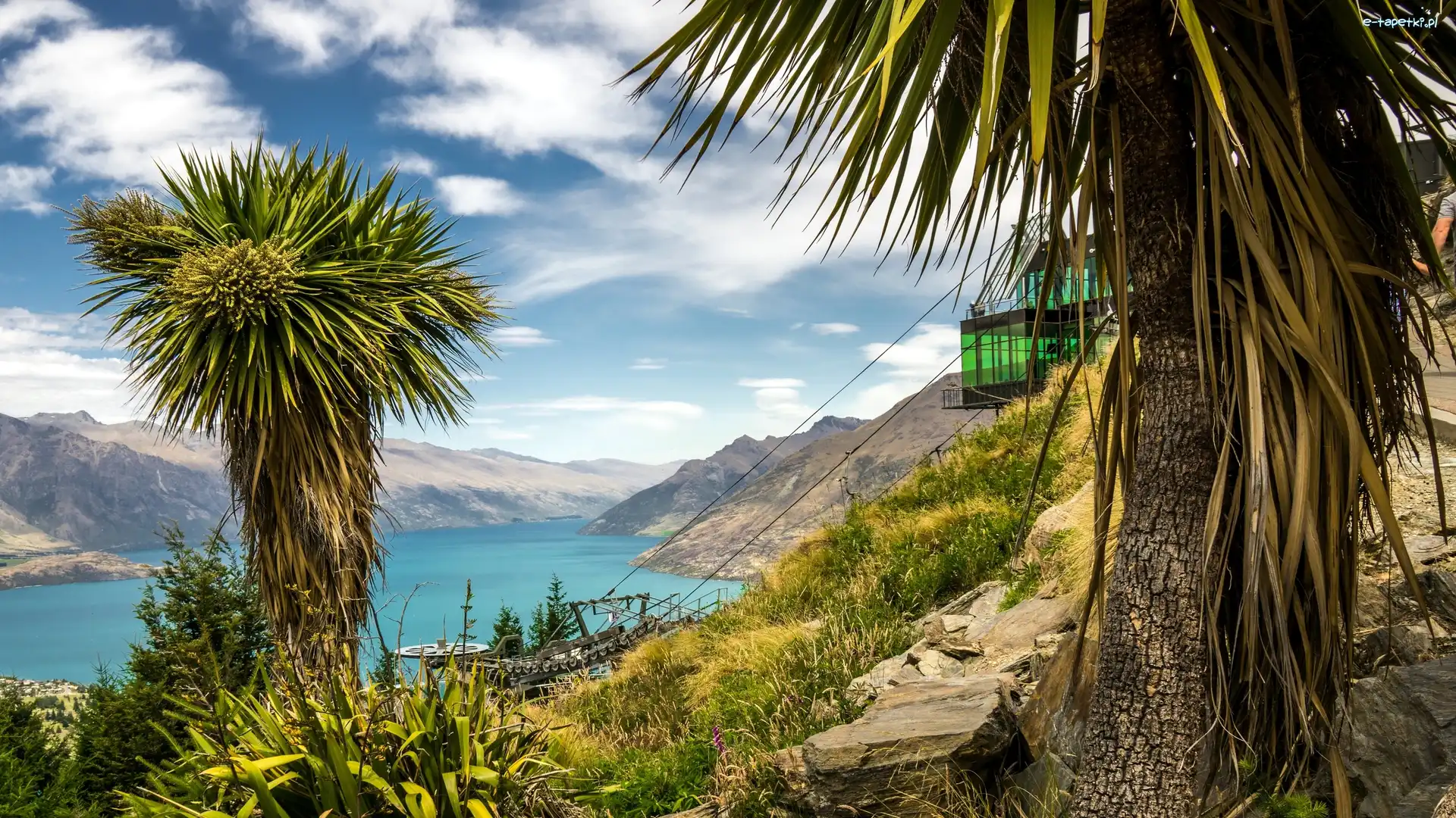 Jezioro Wakatipu, Punkt widokowy, Drzewa, Nowa Zelandia, Queenstown